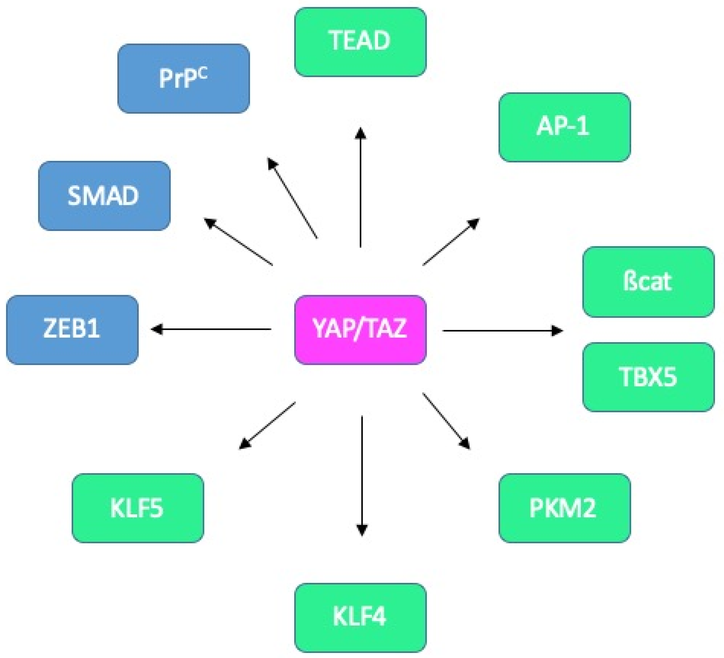 Cancers 12 03160 g007