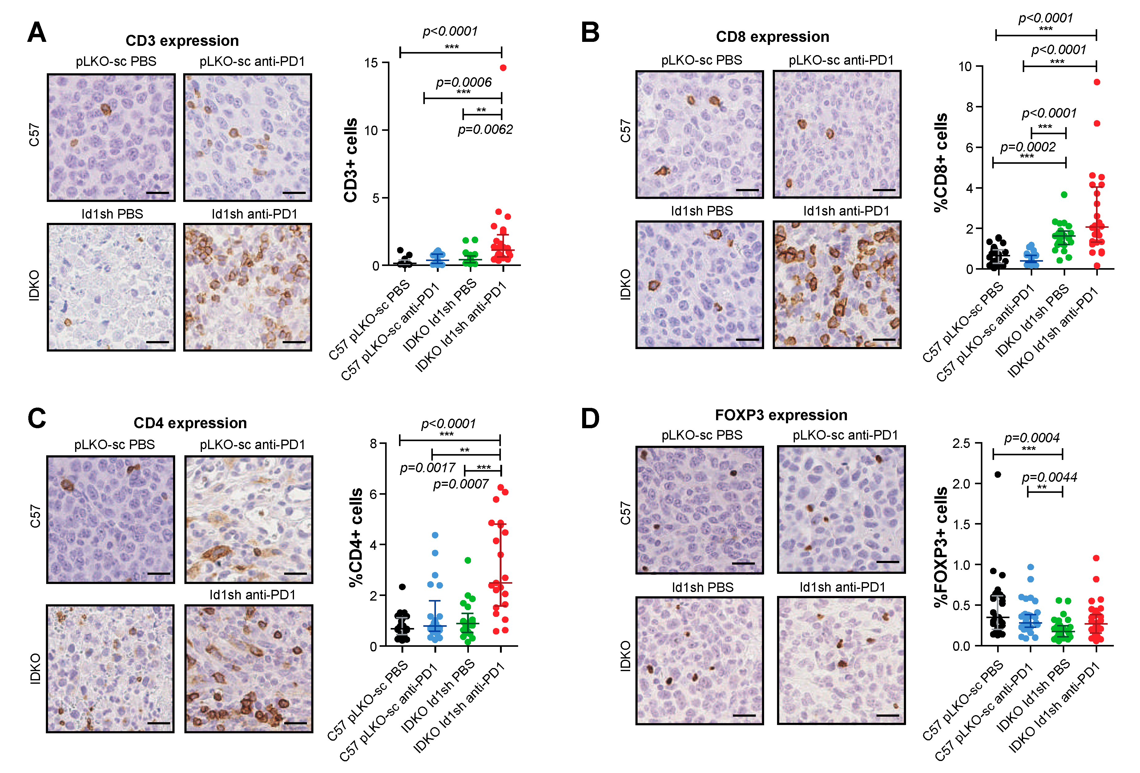 Cancers 12 03169 g004