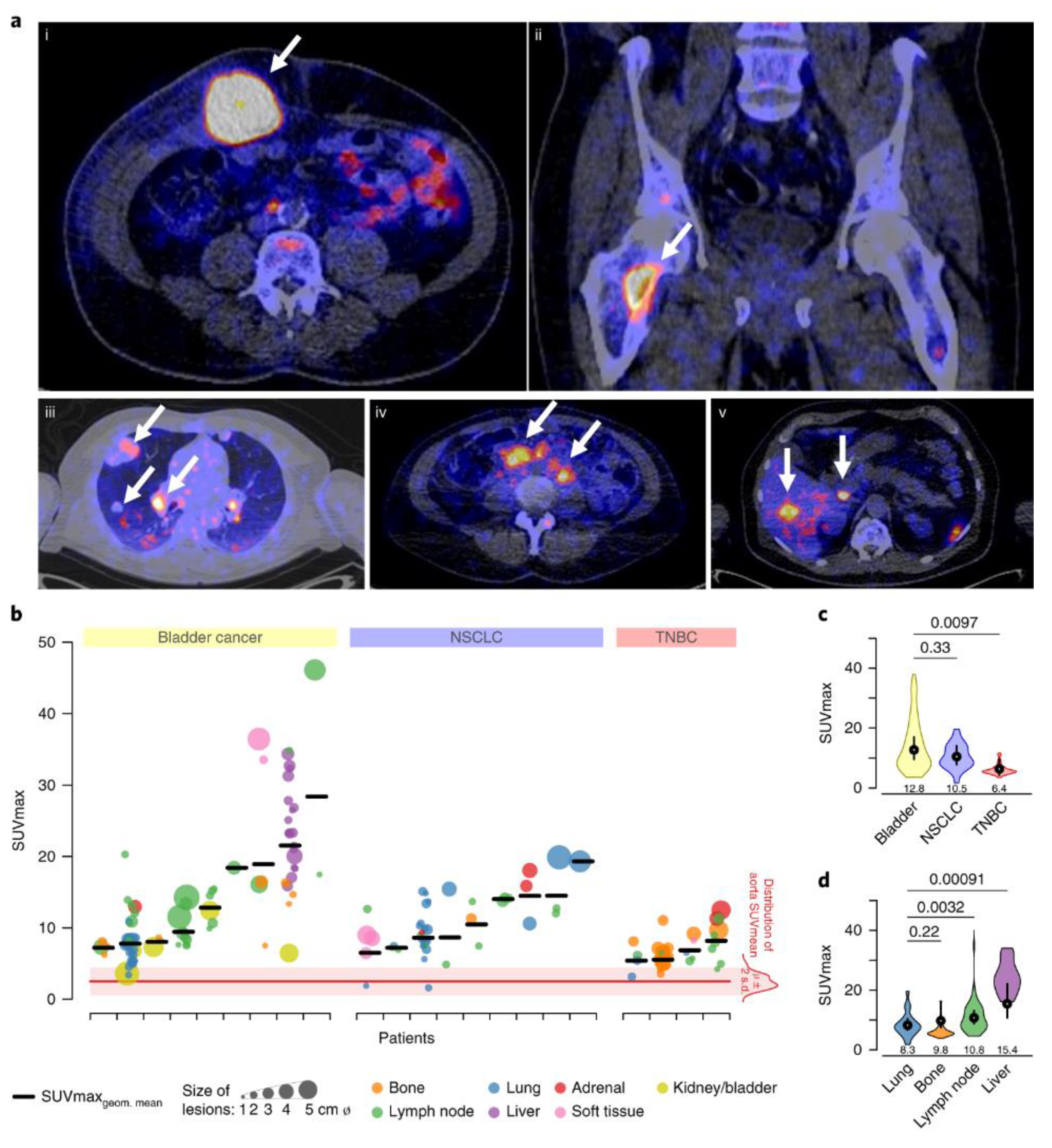 Cancers 12 03173 g002