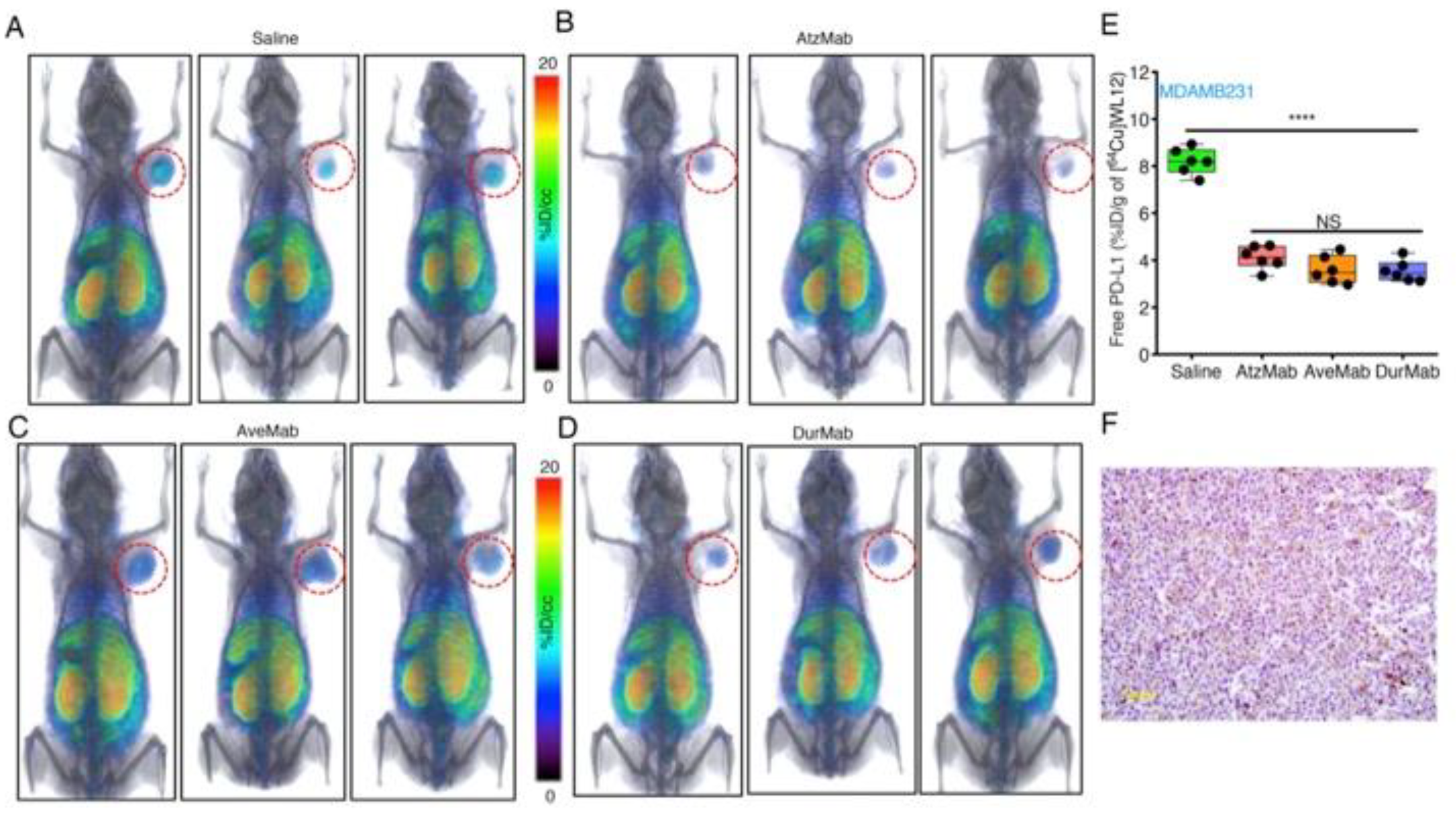 Cancers 12 03173 g004