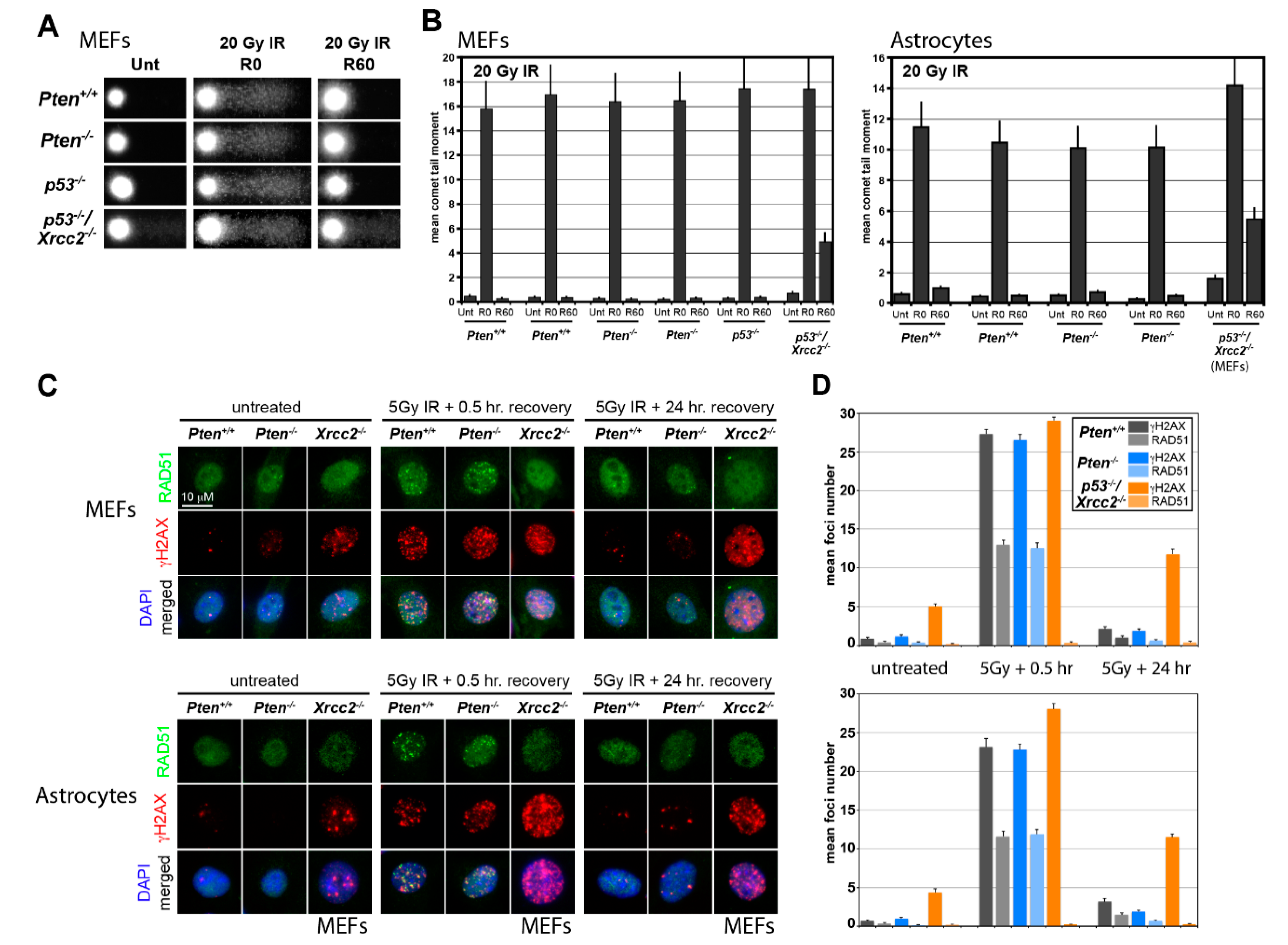 Cancers 12 03178 g002