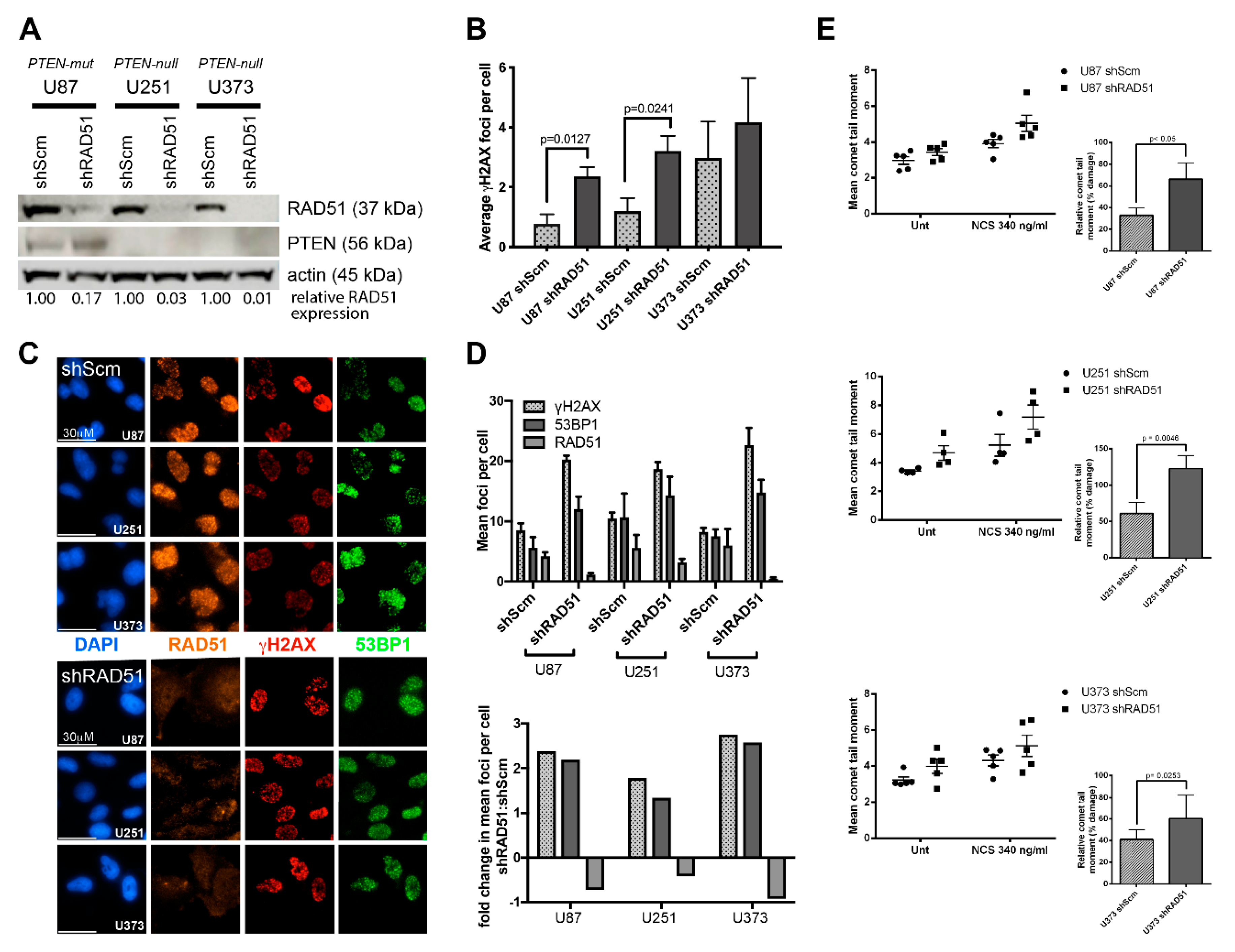 Cancers 12 03178 g003