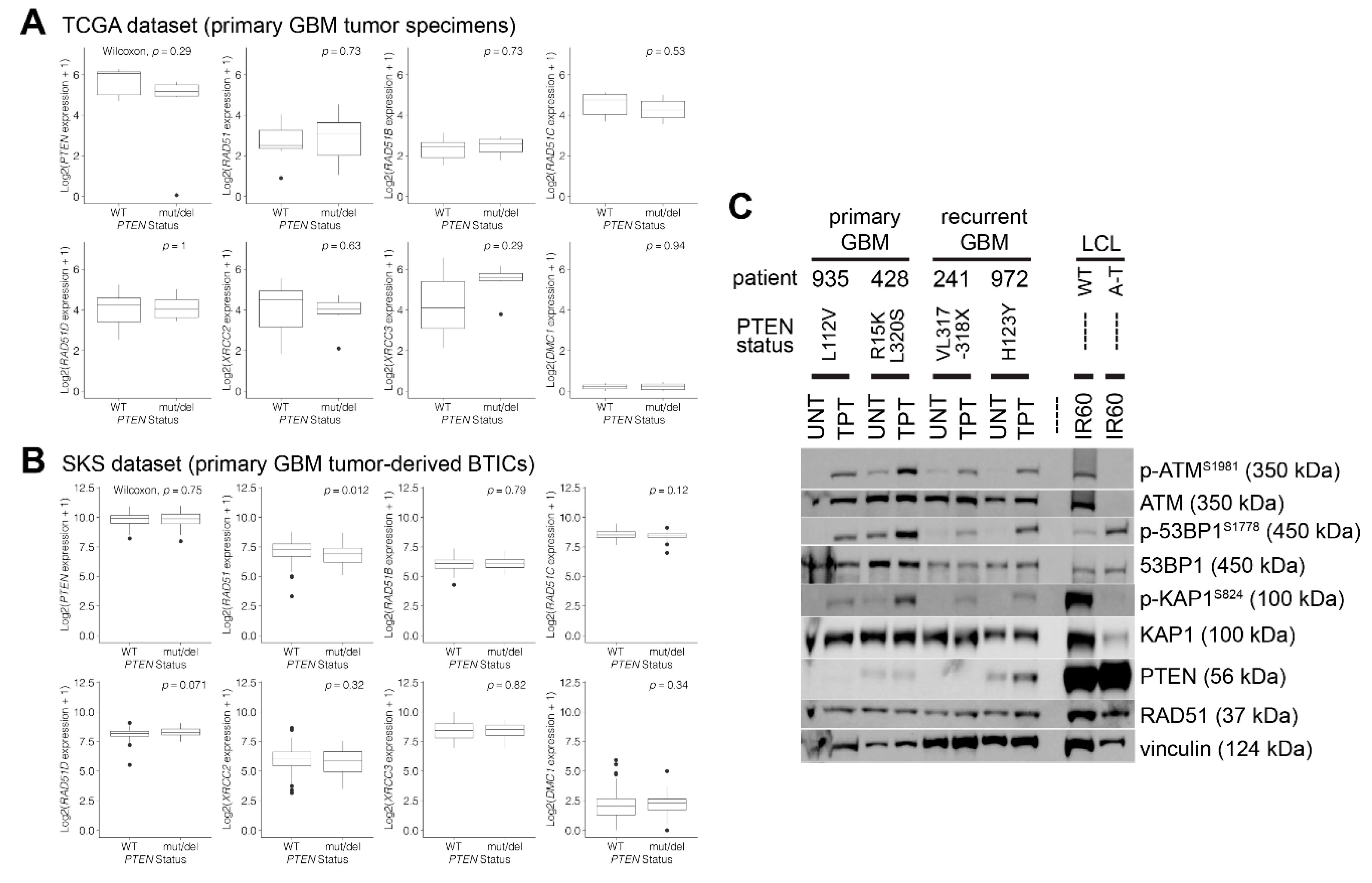Cancers 12 03178 g005