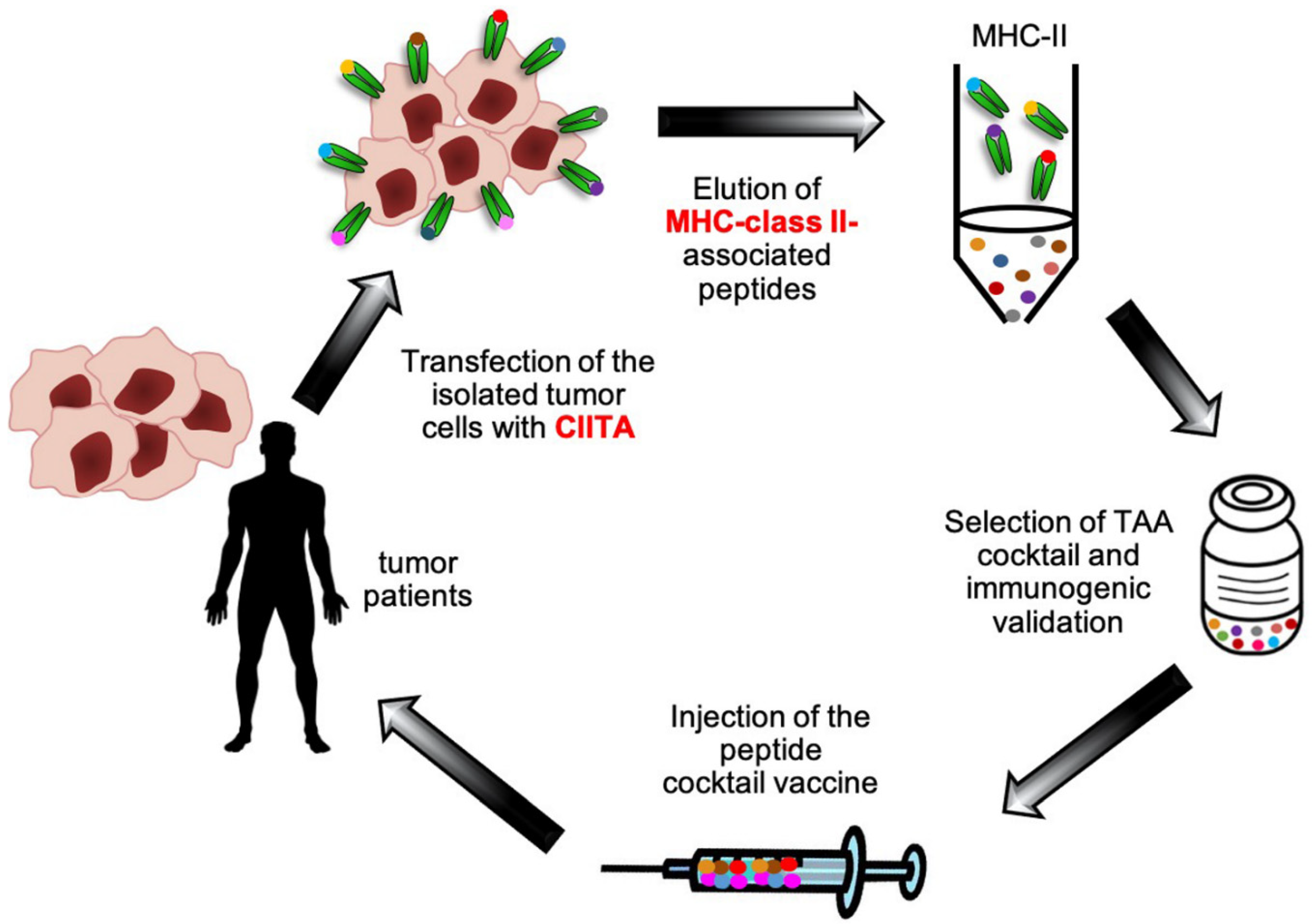 Cancers 12 03181 g002