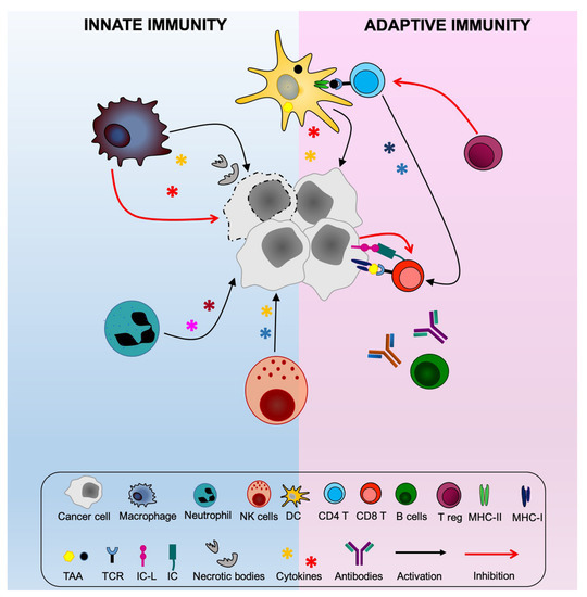 Cancers 12 03181 g0a1