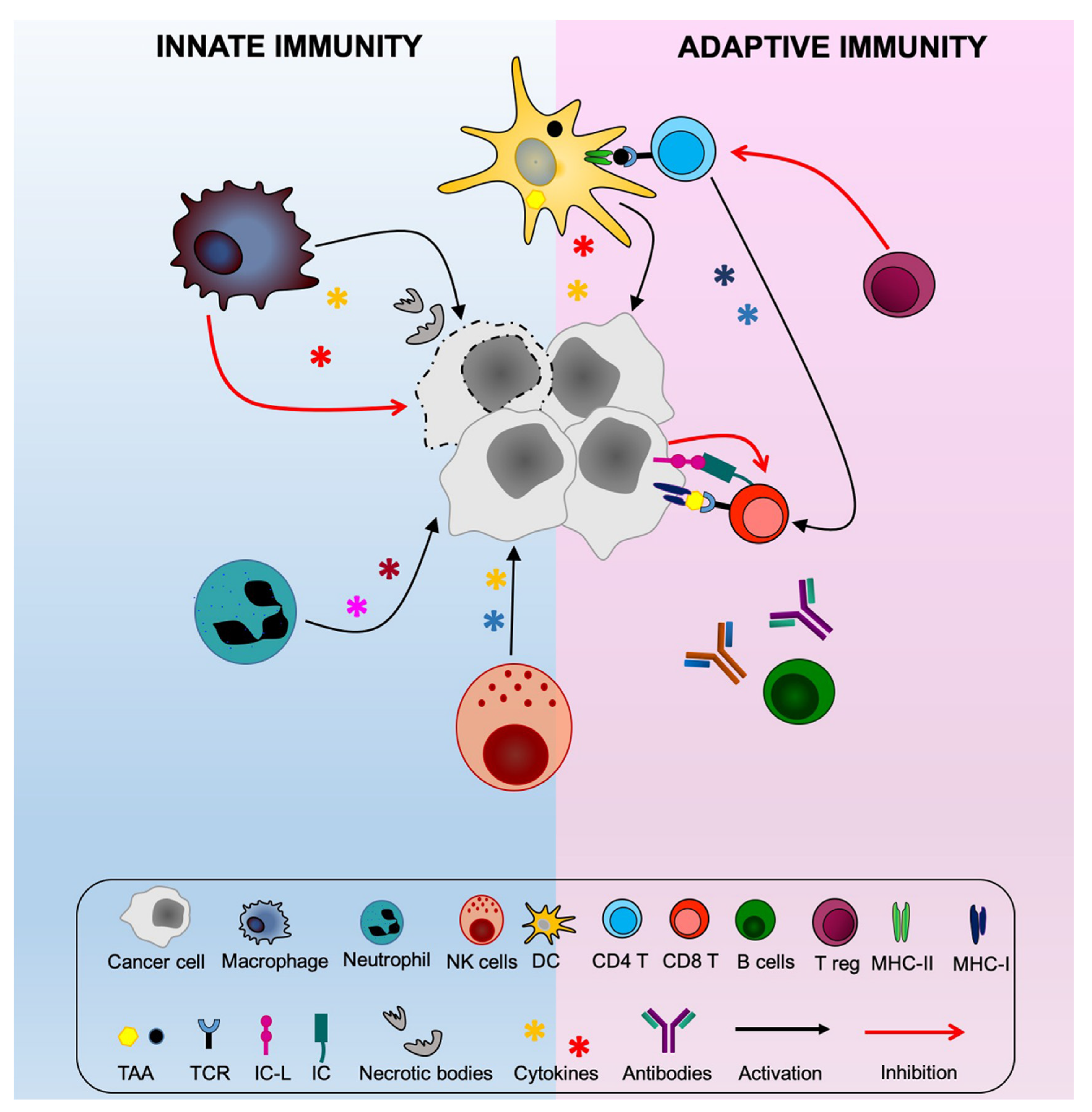 Cancers 12 03181 g0a1