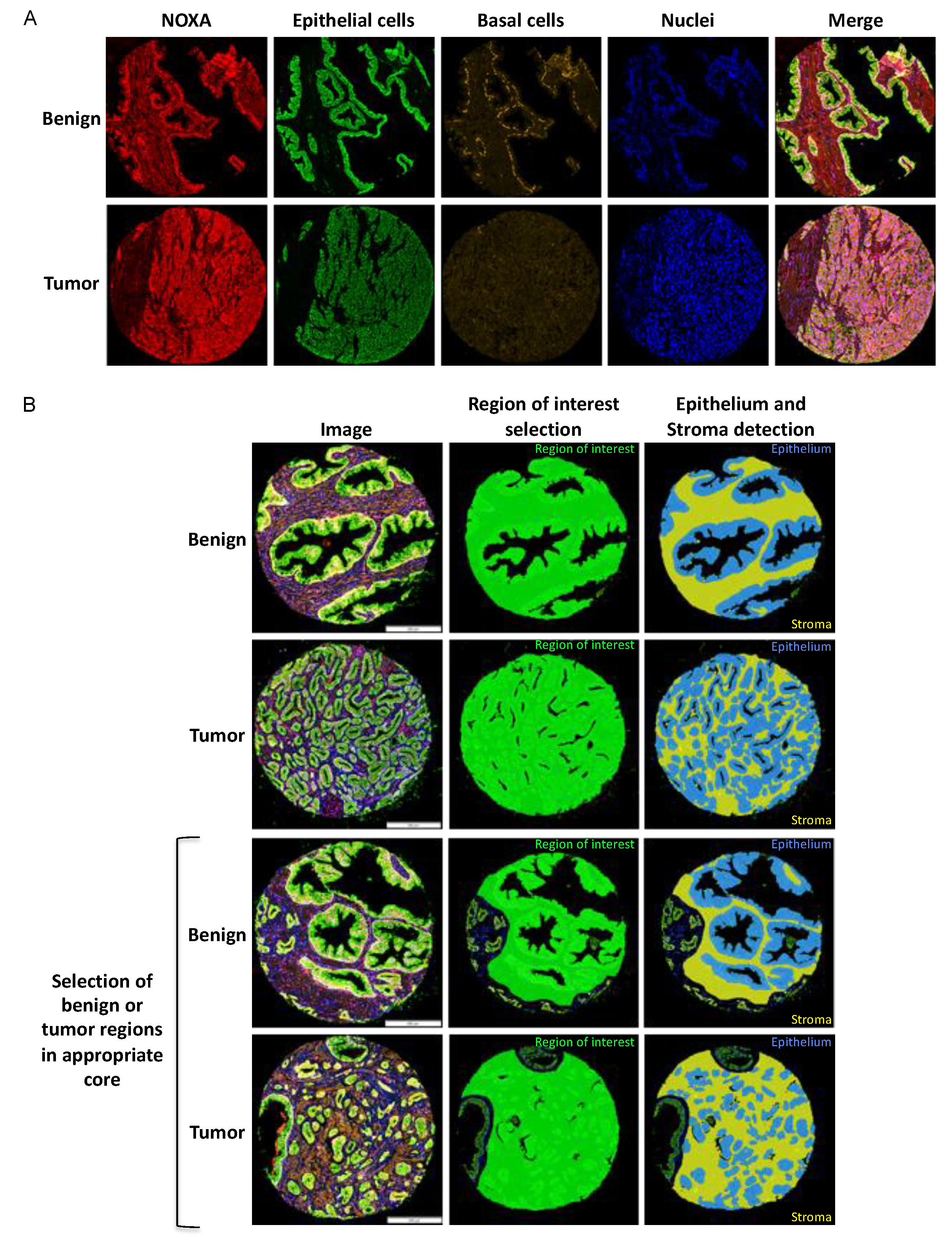 Cancers 12 03187 g001 Cancers 12 03187 g001