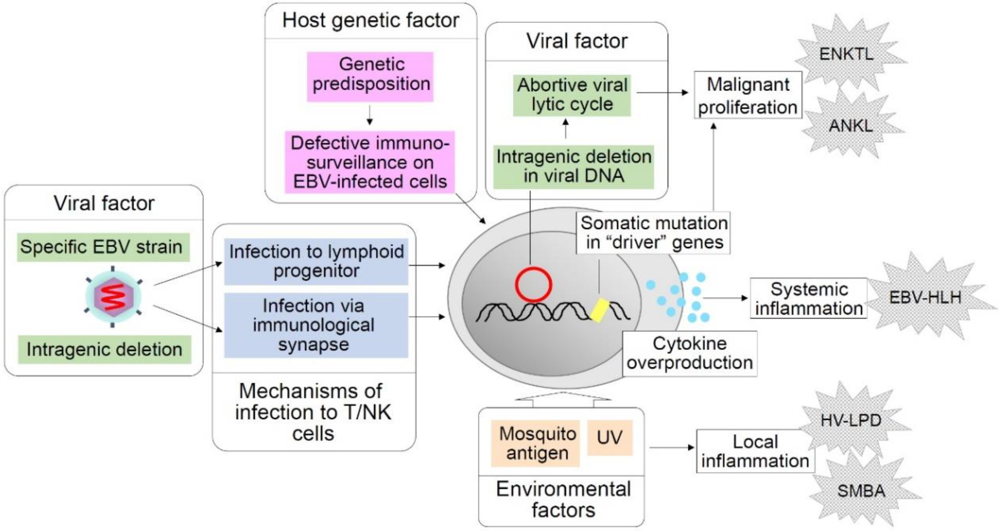 Cancers 12 03202 g001 Cancers 12 03202 g001