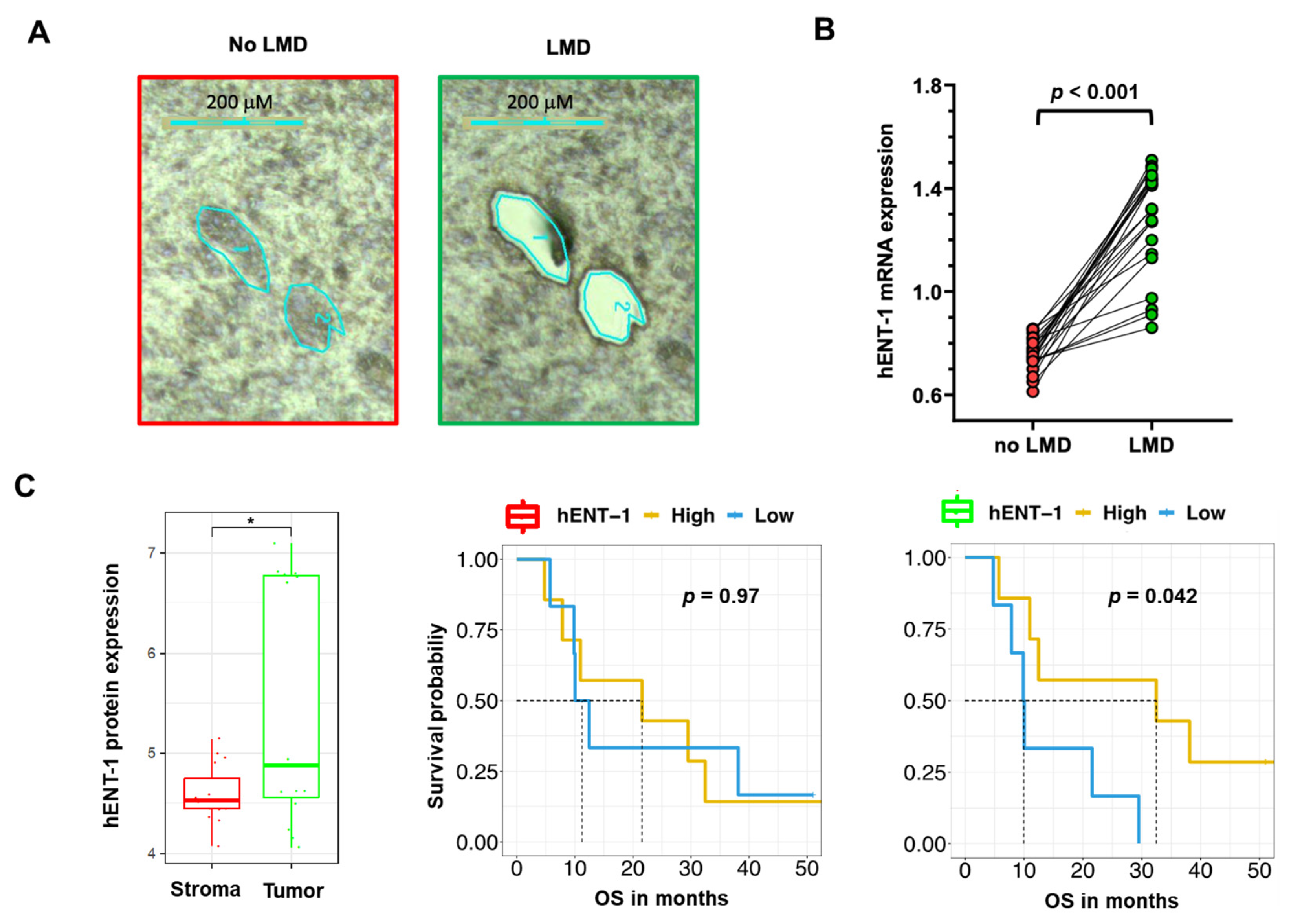 Cancers 12 03206 g003