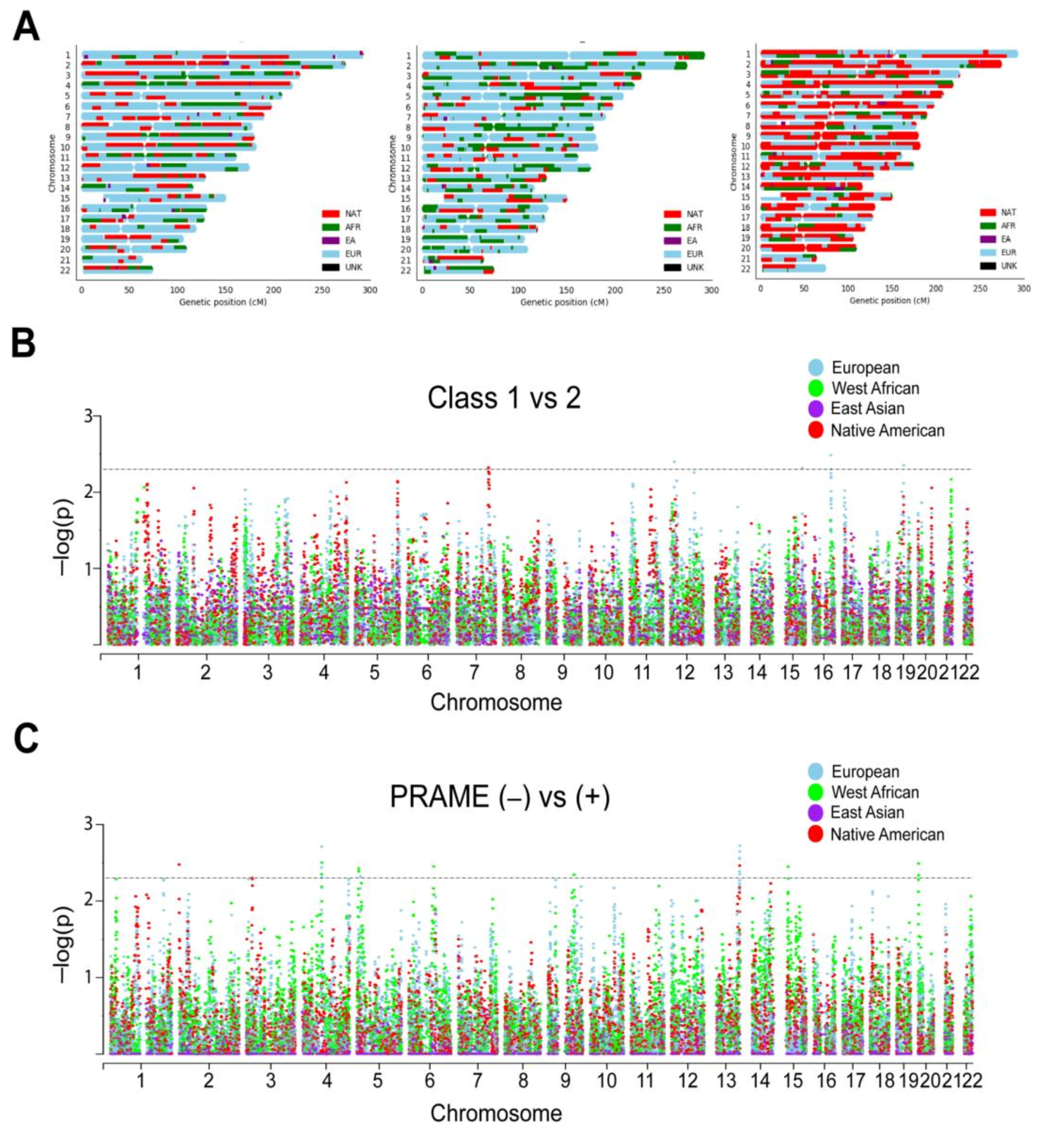 Cancers 12 03208 g003