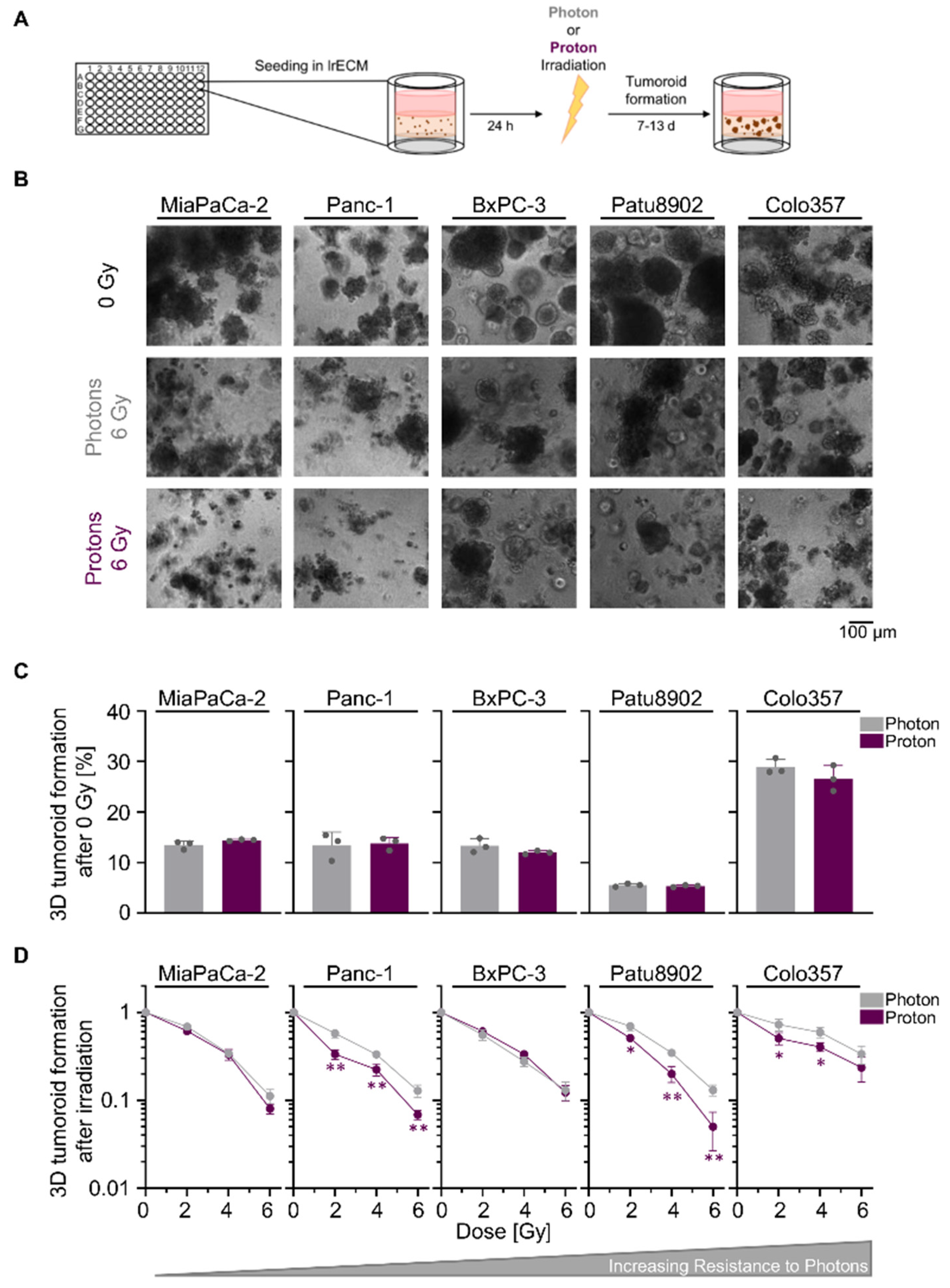 Cancers 12 03216 g001