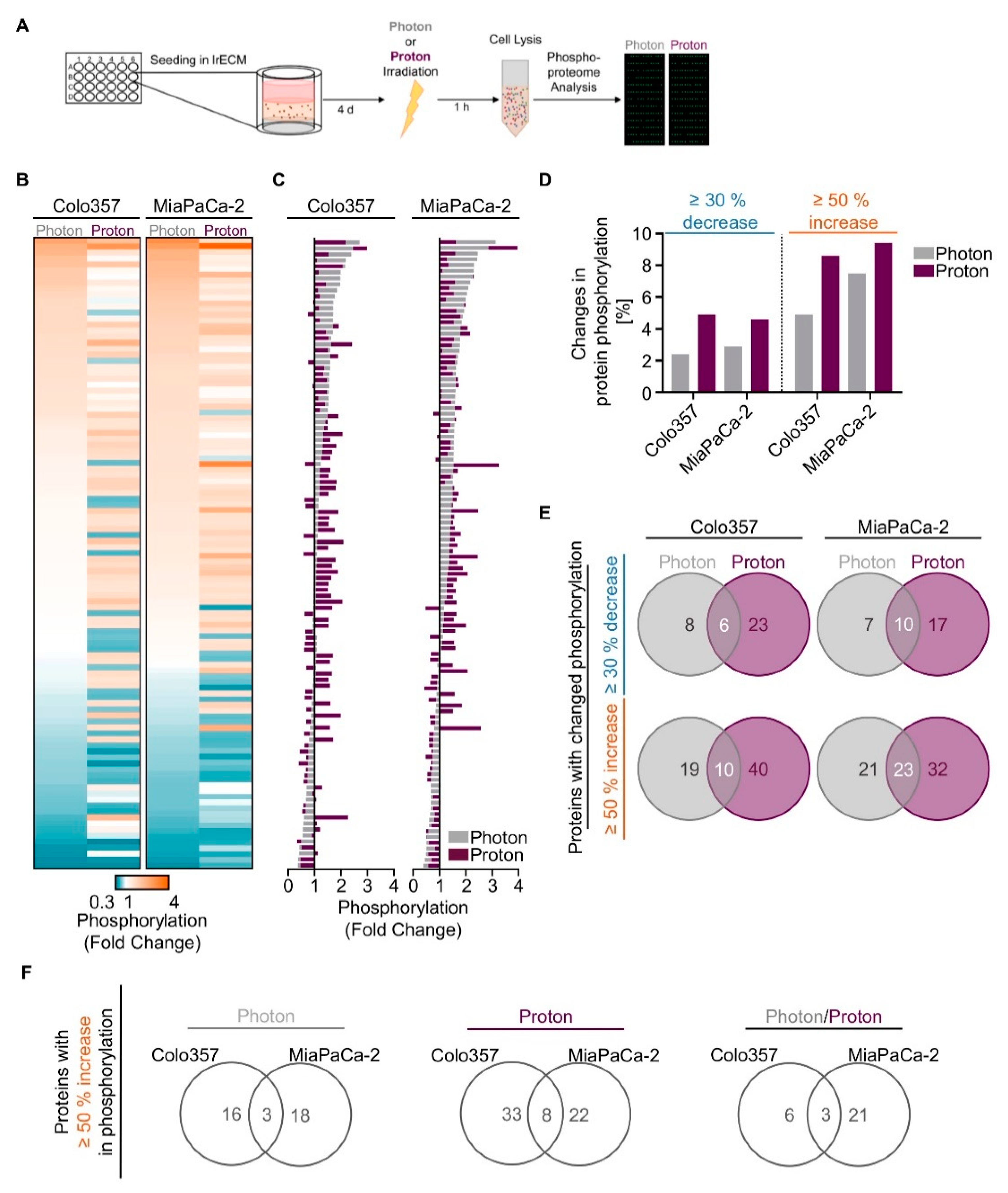 Cancers 12 03216 g002