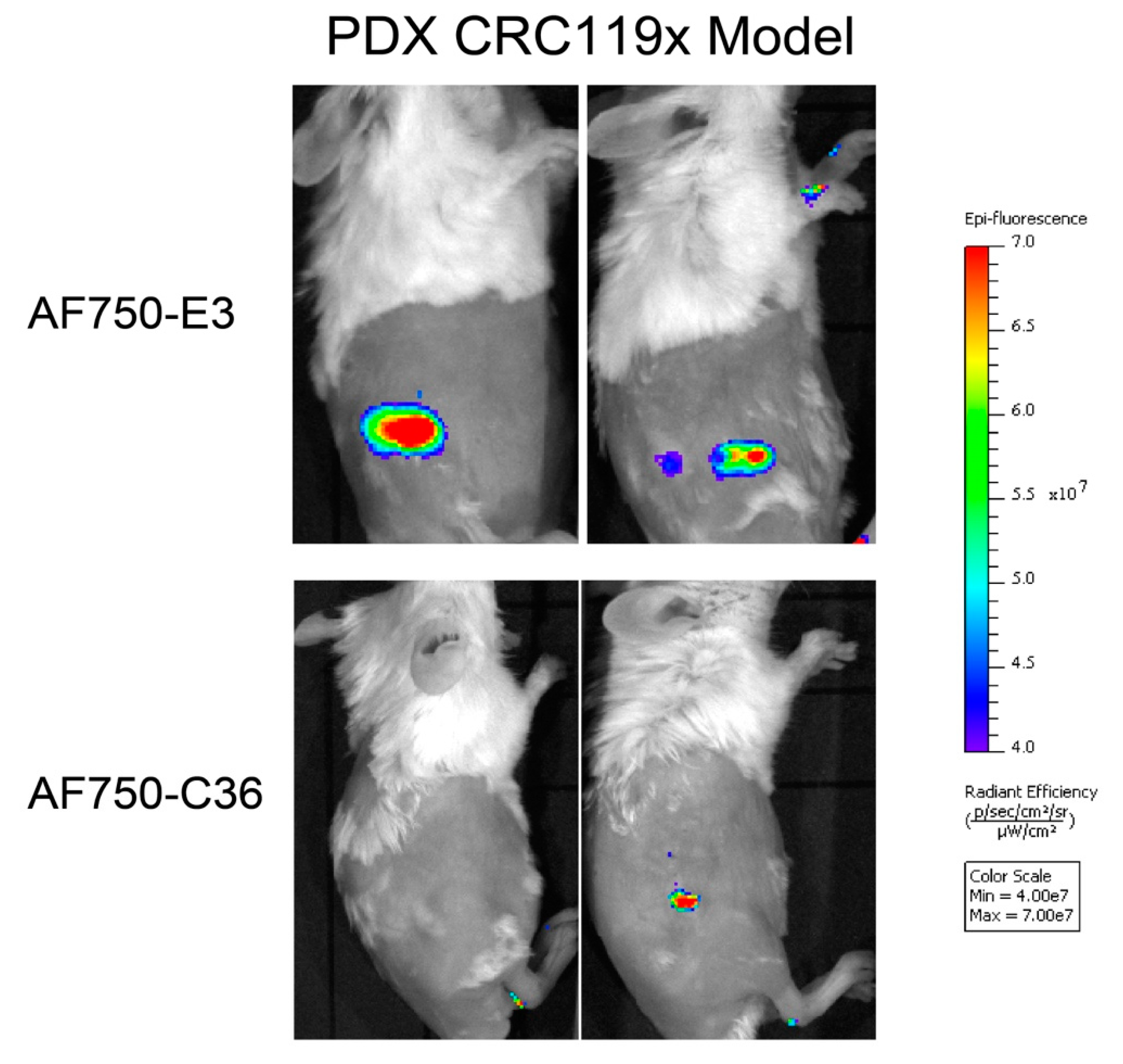 Cancers 12 03217 g006