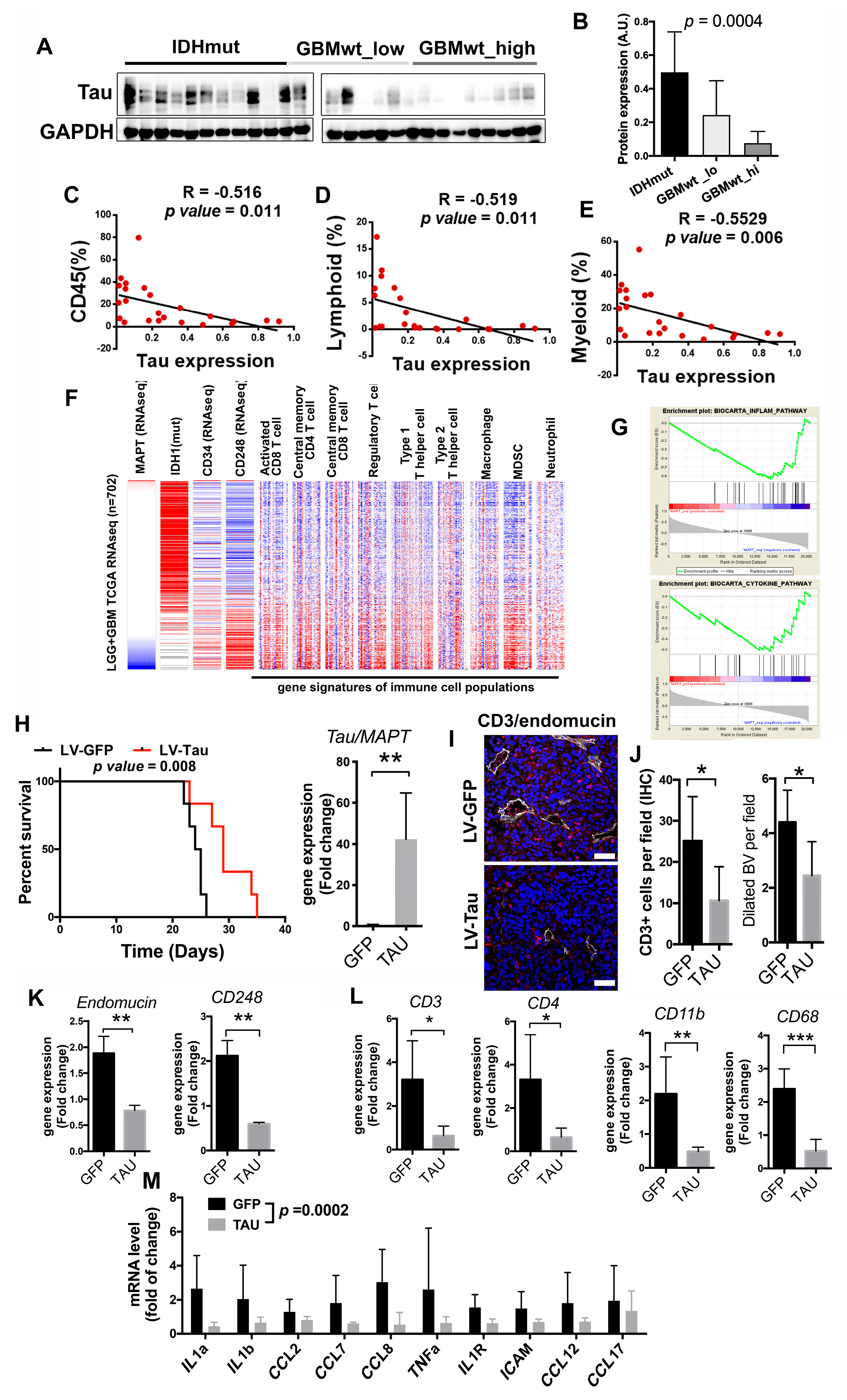 Cancers 12 03230 g005