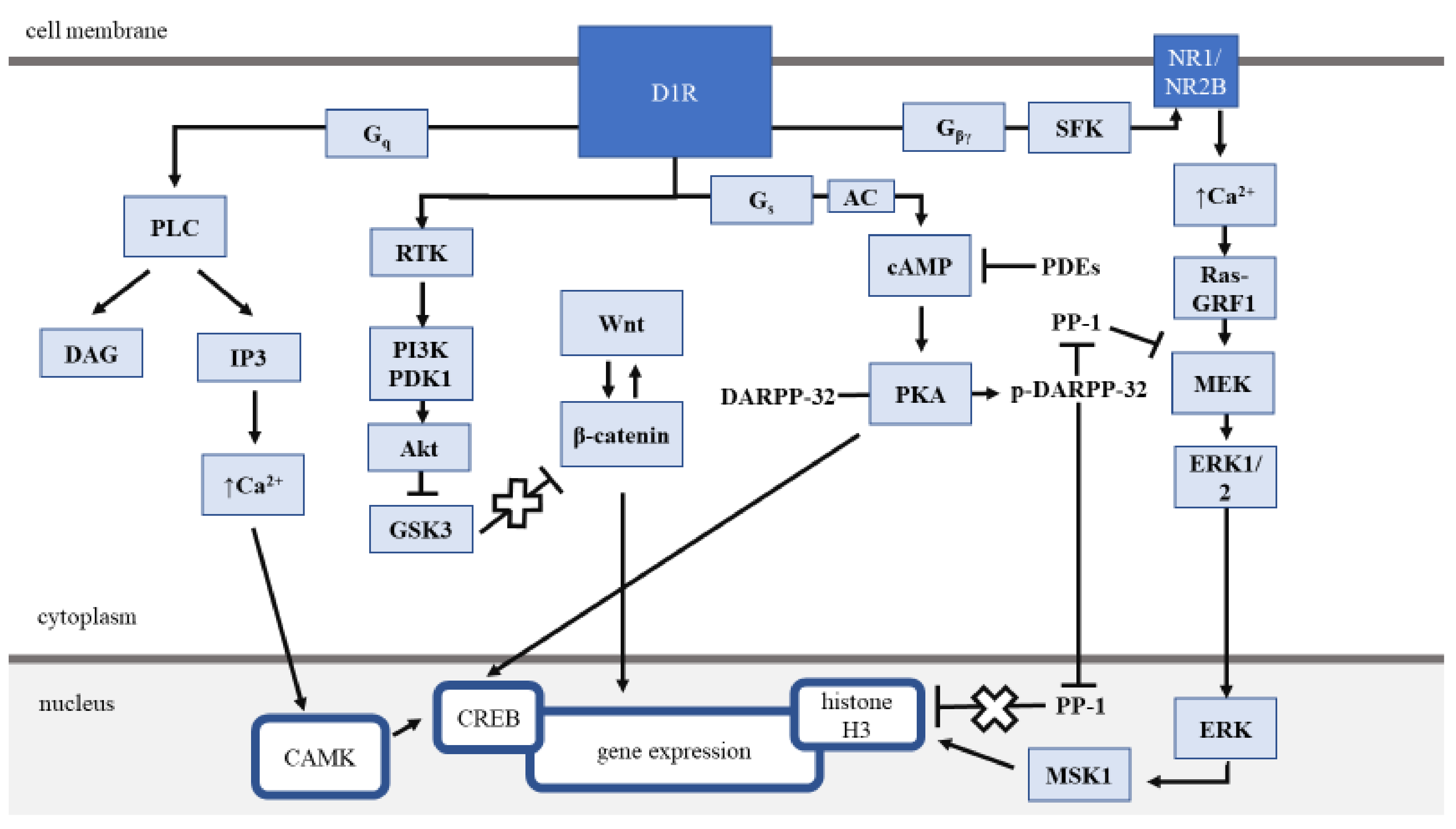 Cancers 12 03232 g001 Cancers 12 03232 g001