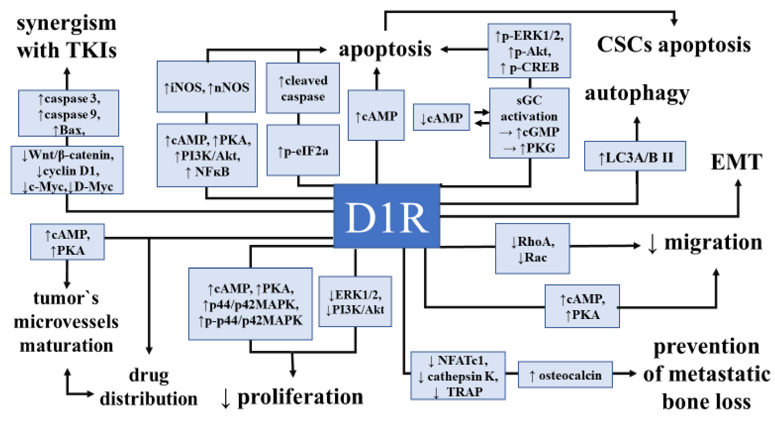 Cancers 12 03232 g002 Cancers 12 03232 g002