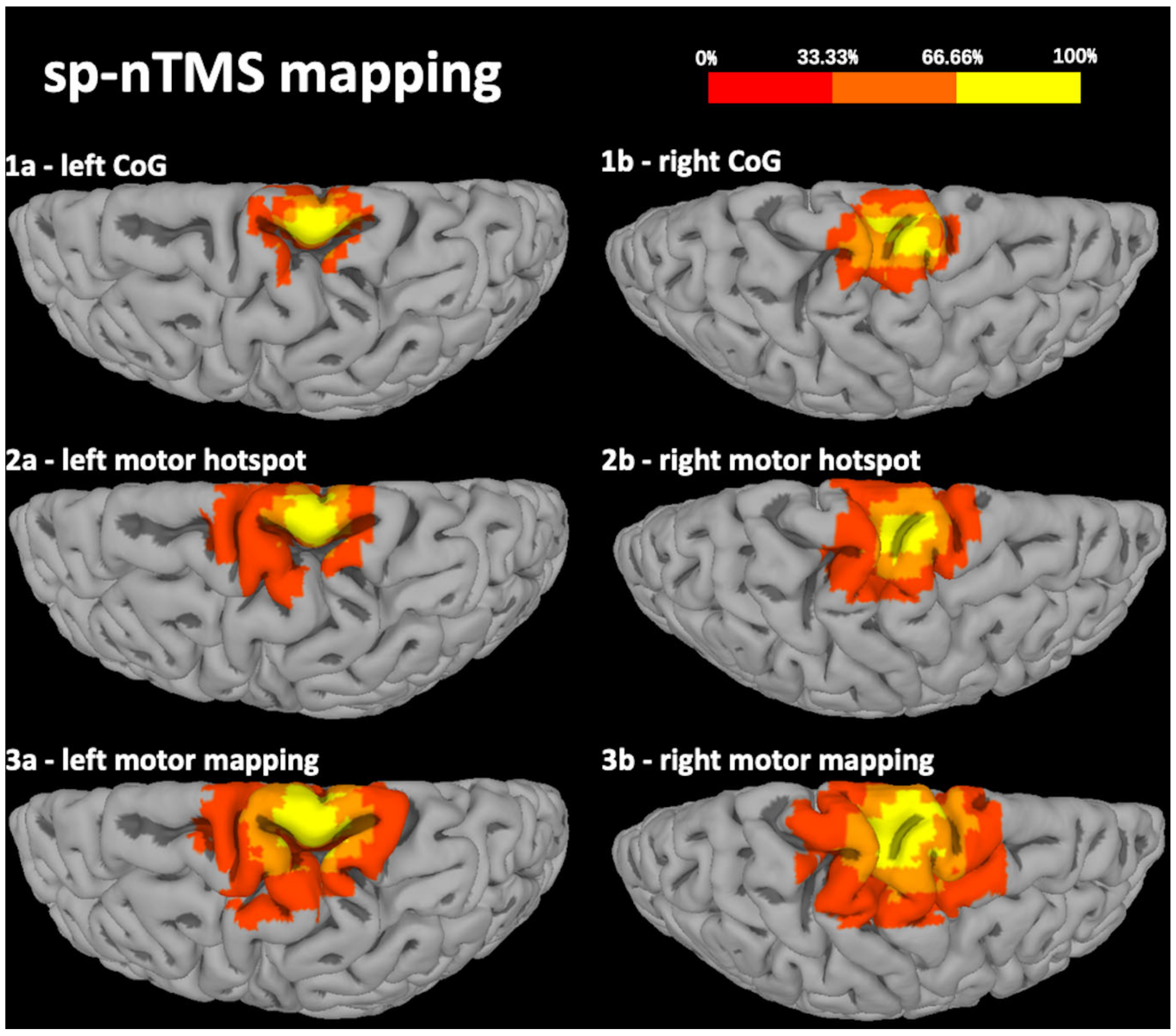 Cancers 12 03233 g001