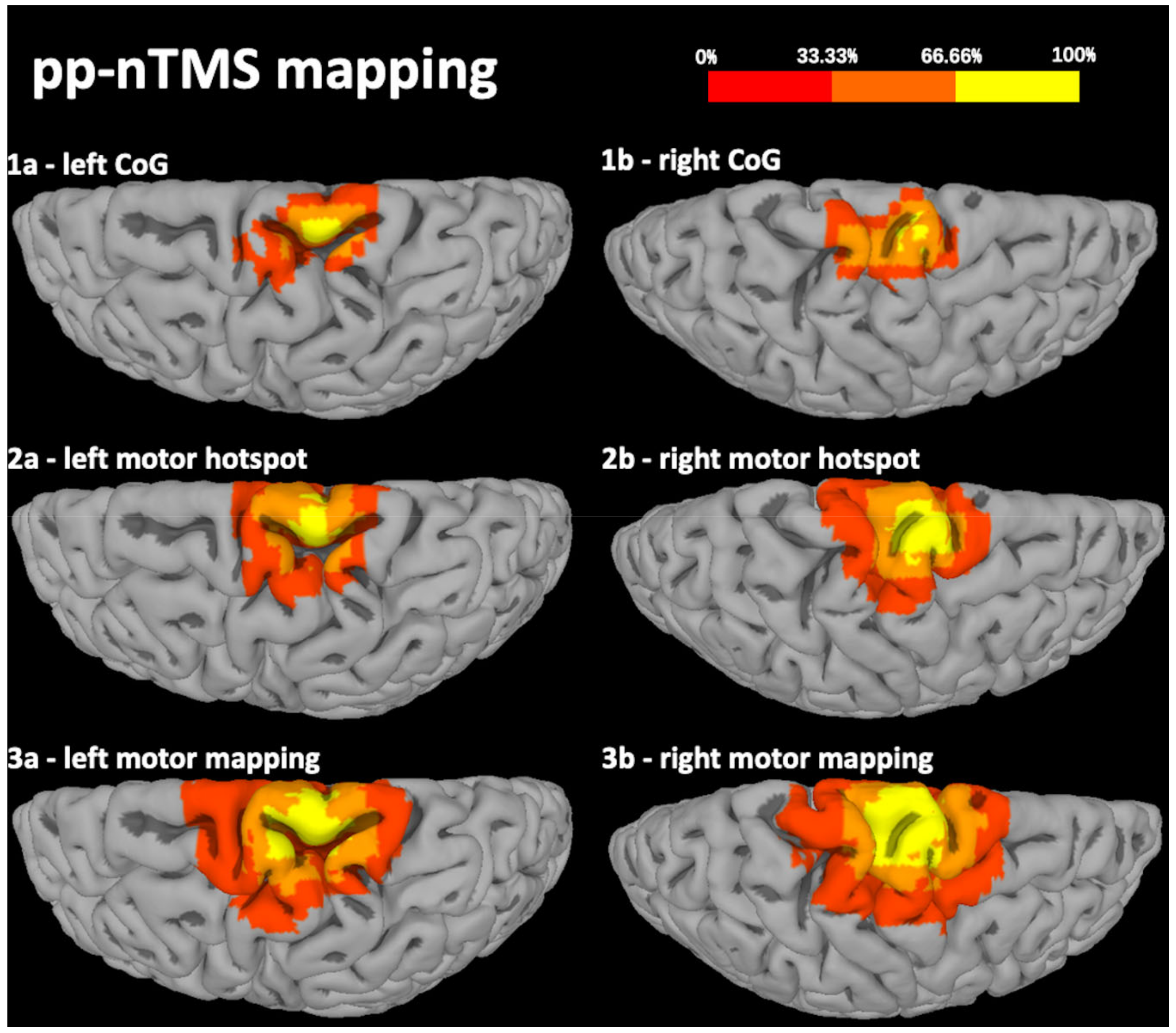 Cancers 12 03233 g002