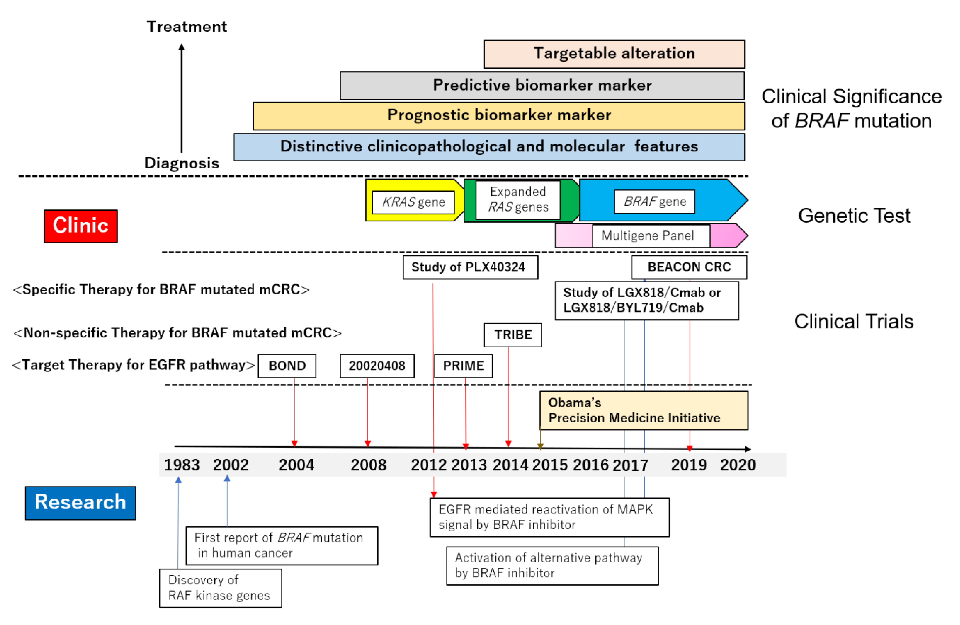 Cancers 12 03236 g002 Cancers 12 03236 g002