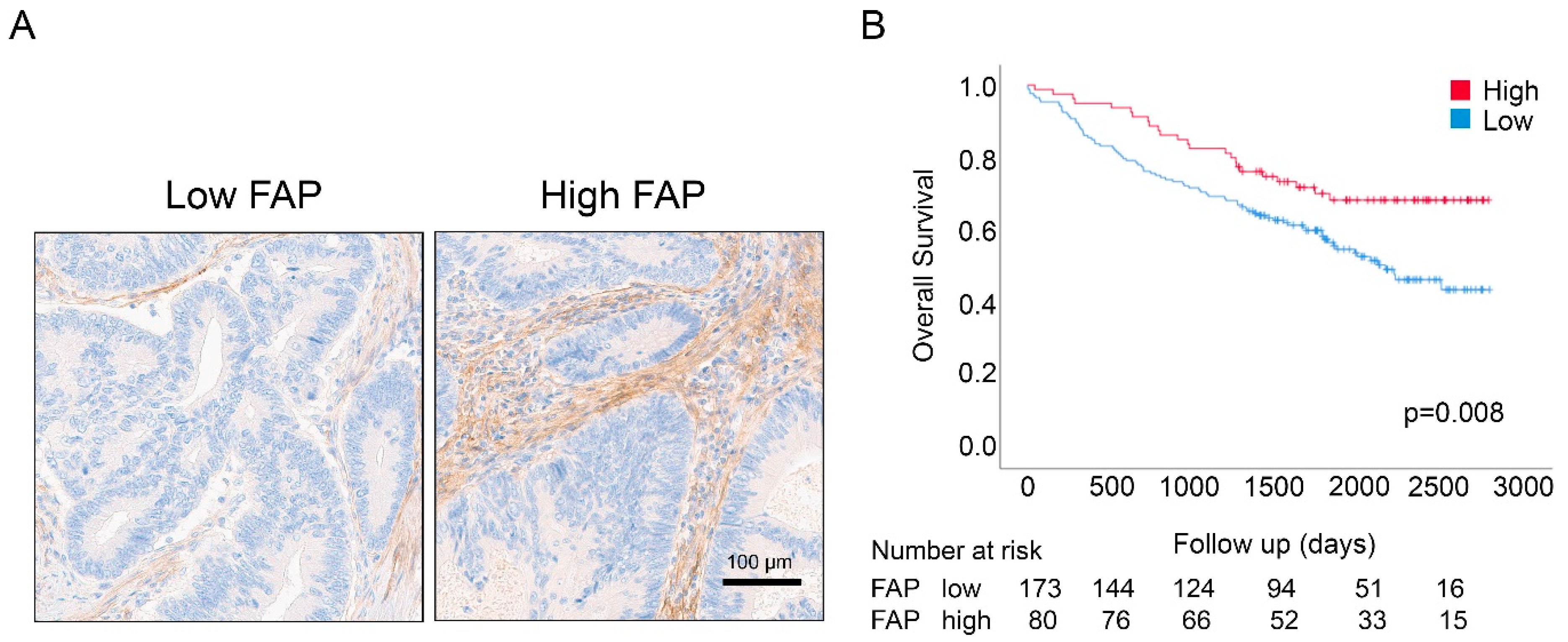 Cancers 12 03238 g001
