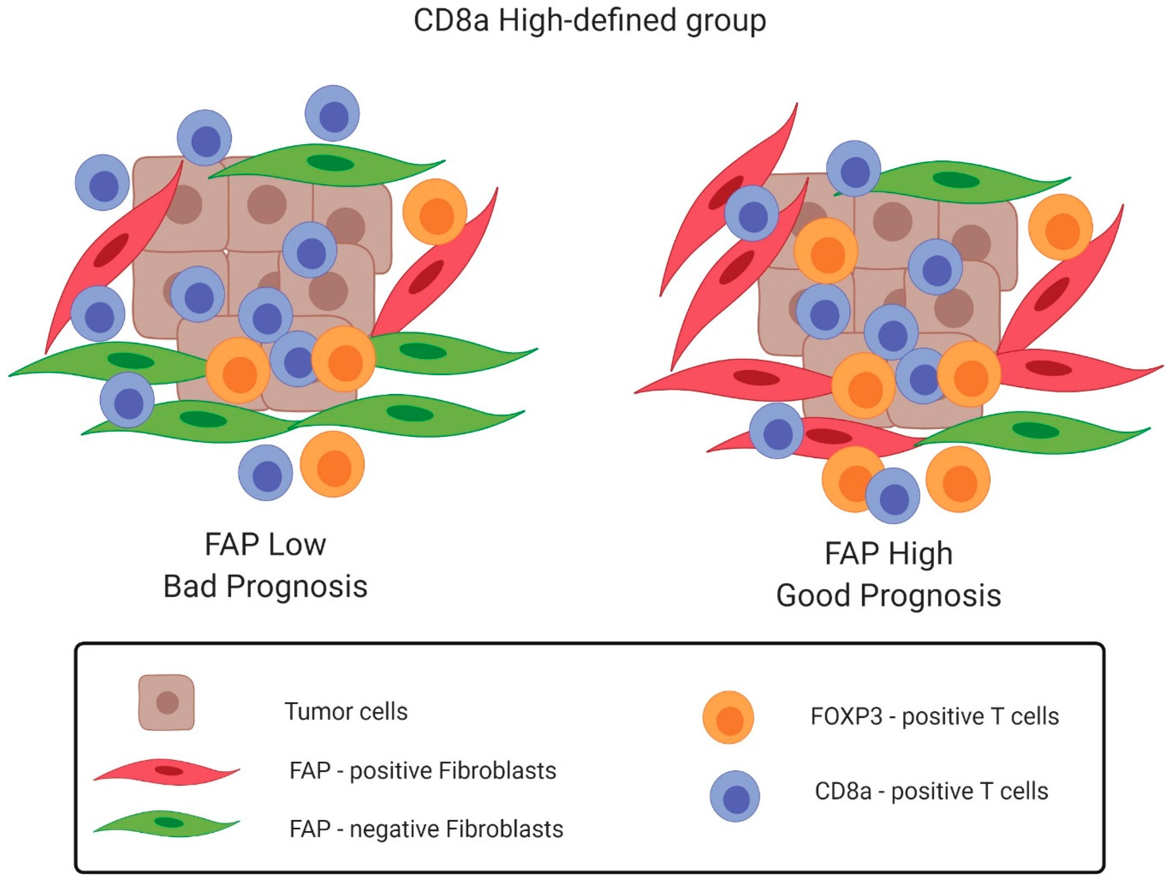Cancers 12 03238 g005