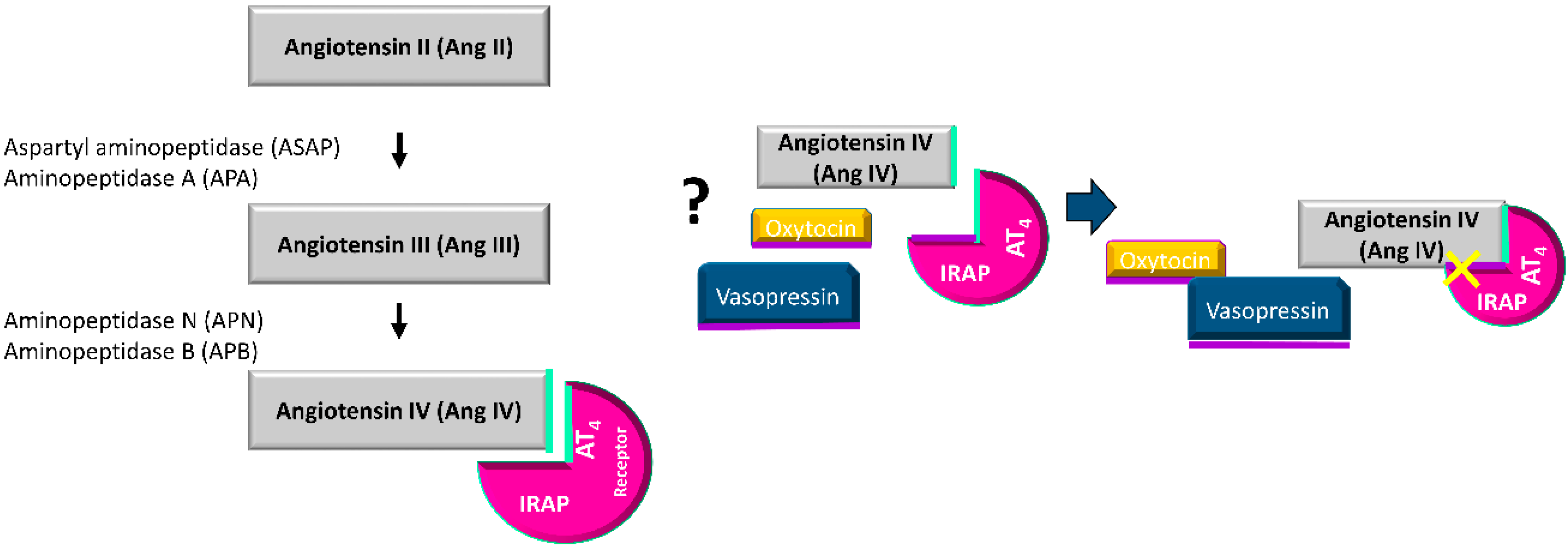 Cancers 12 03252 g004
