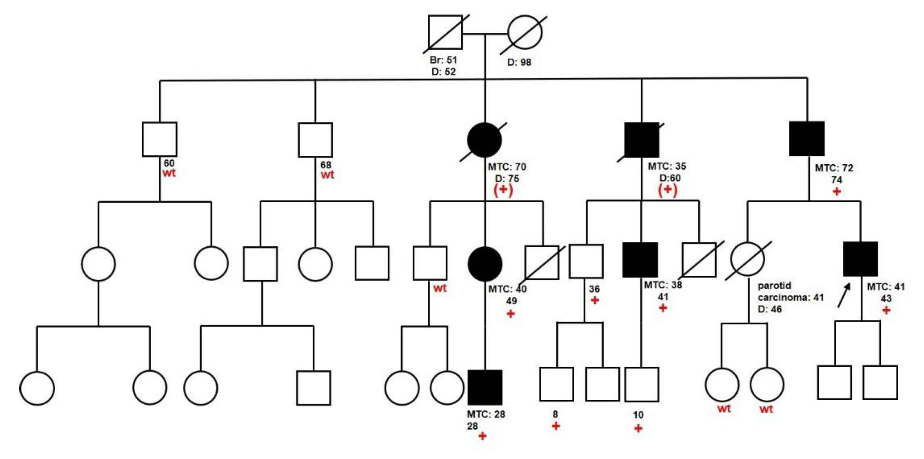 Cancers 12 03268 g001 Cancers 12 03268 g001