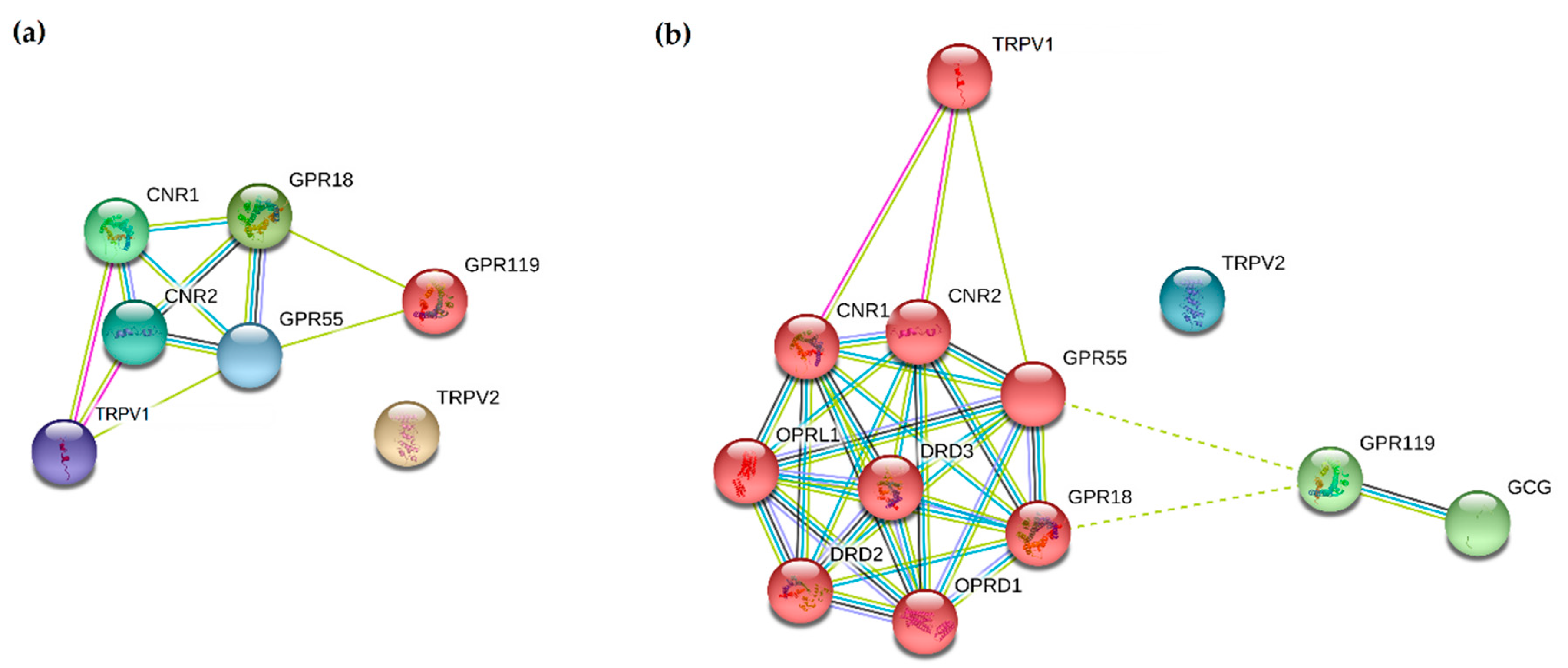Cancers 12 03275 g001