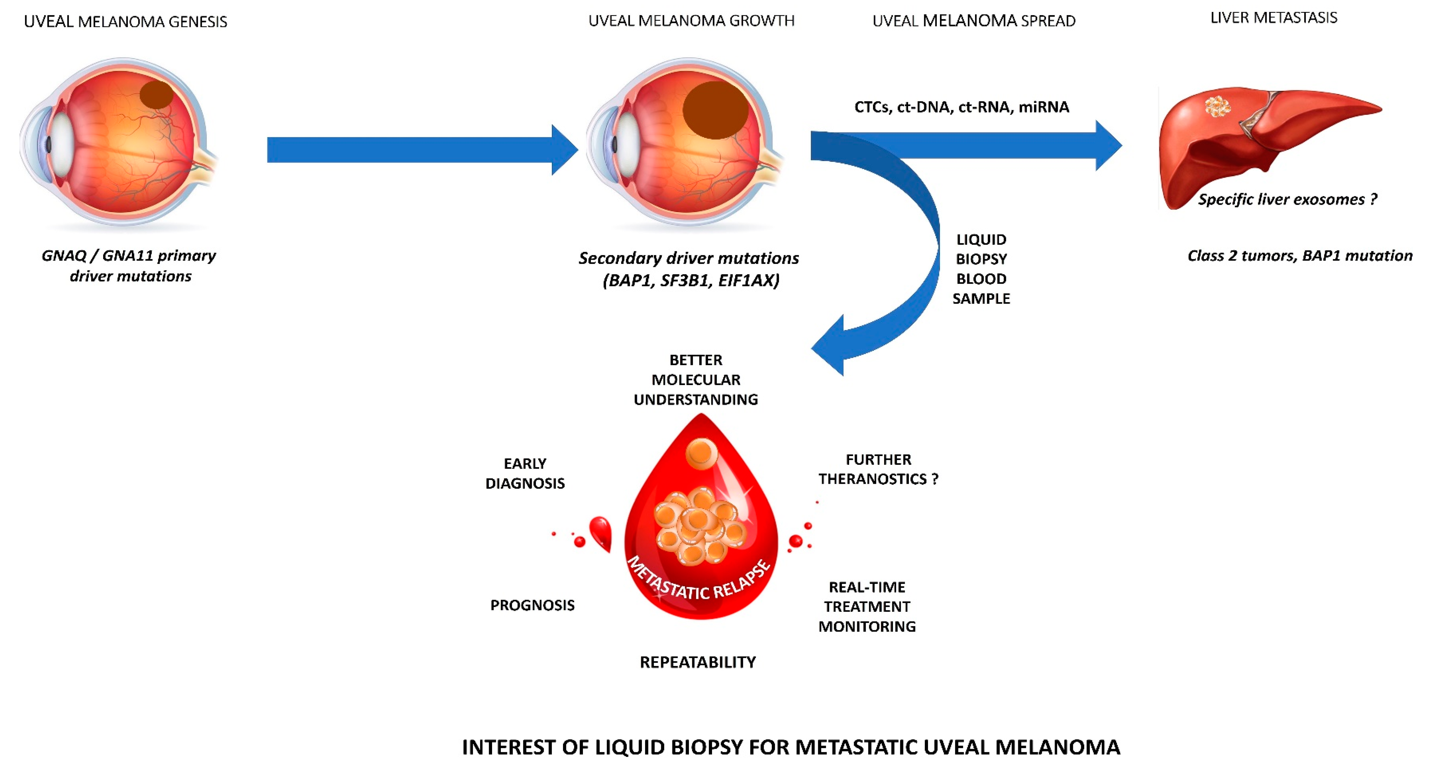 Cancers 12 03284 g001