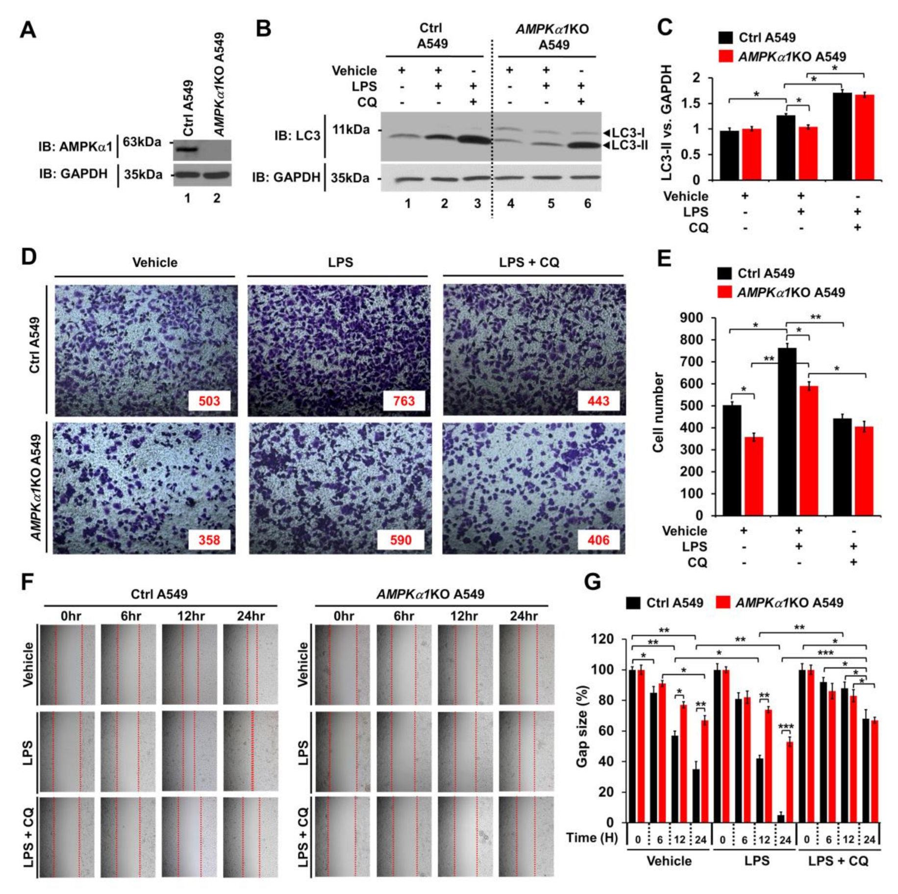Cancers 12 03289 g004 Cancers 12 03289 g004
