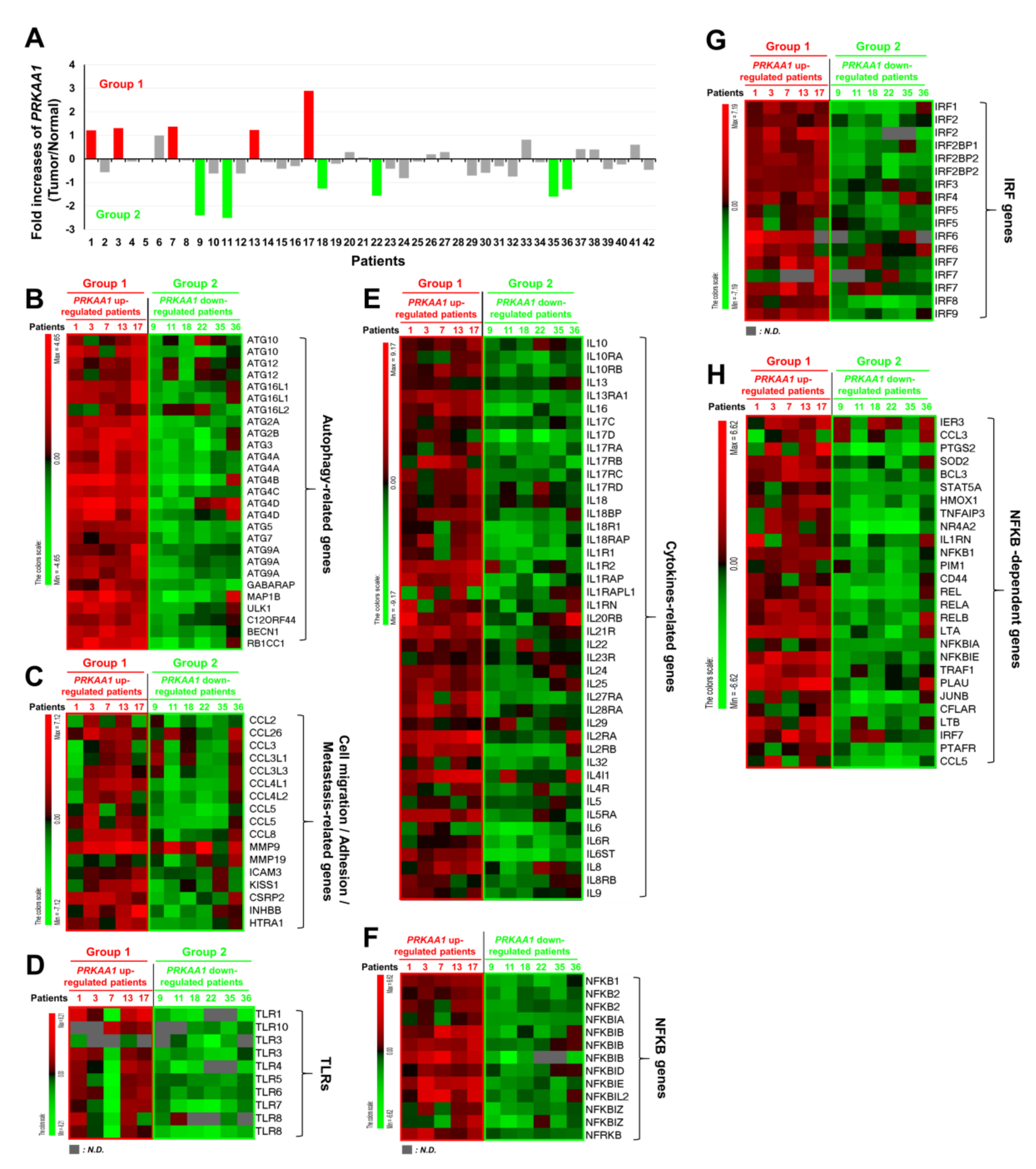Cancers 12 03289 g005 Cancers 12 03289 g005