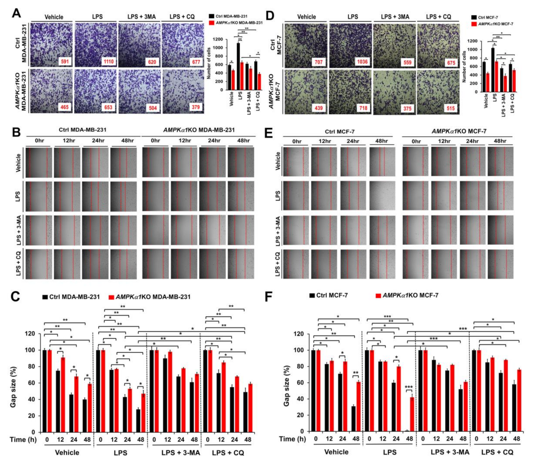 Cancers 12 03289 g006 Cancers 12 03289 g006