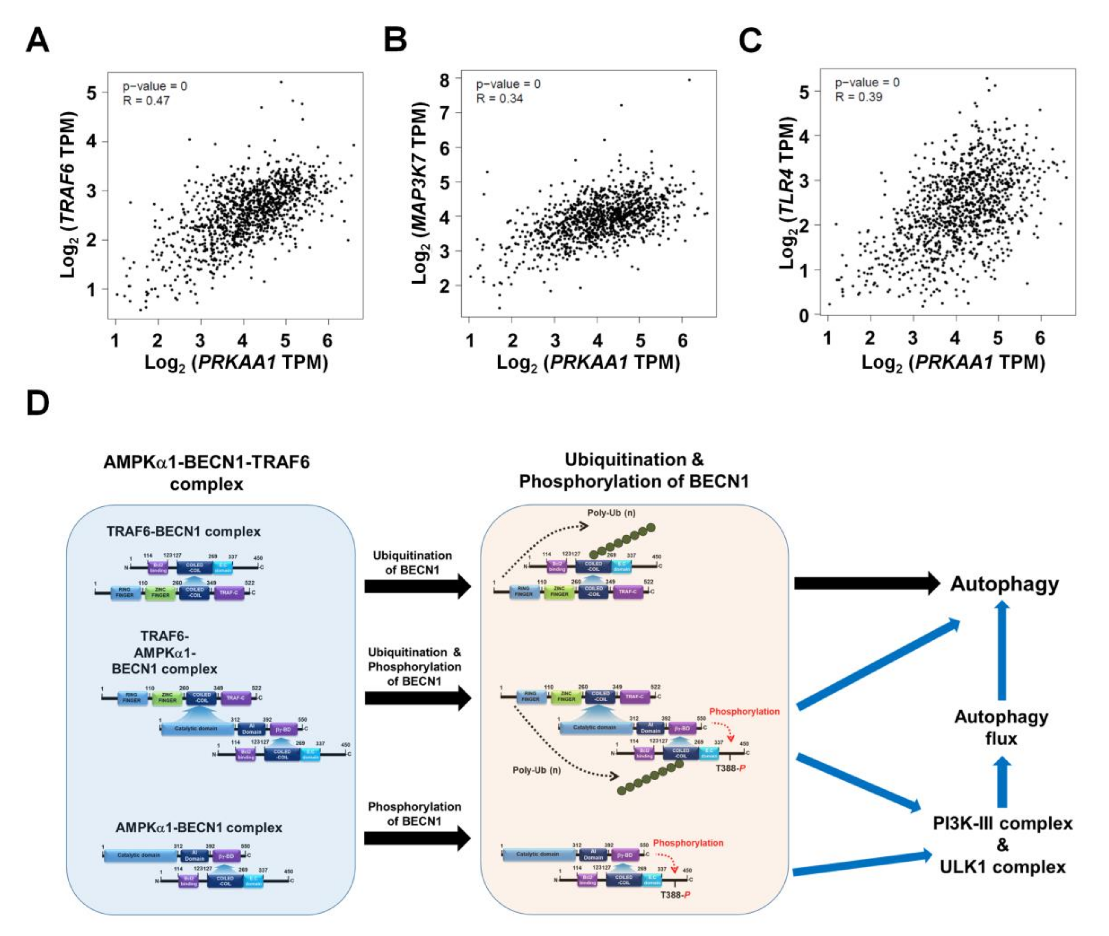 Cancers 12 03289 g007 Cancers 12 03289 g007