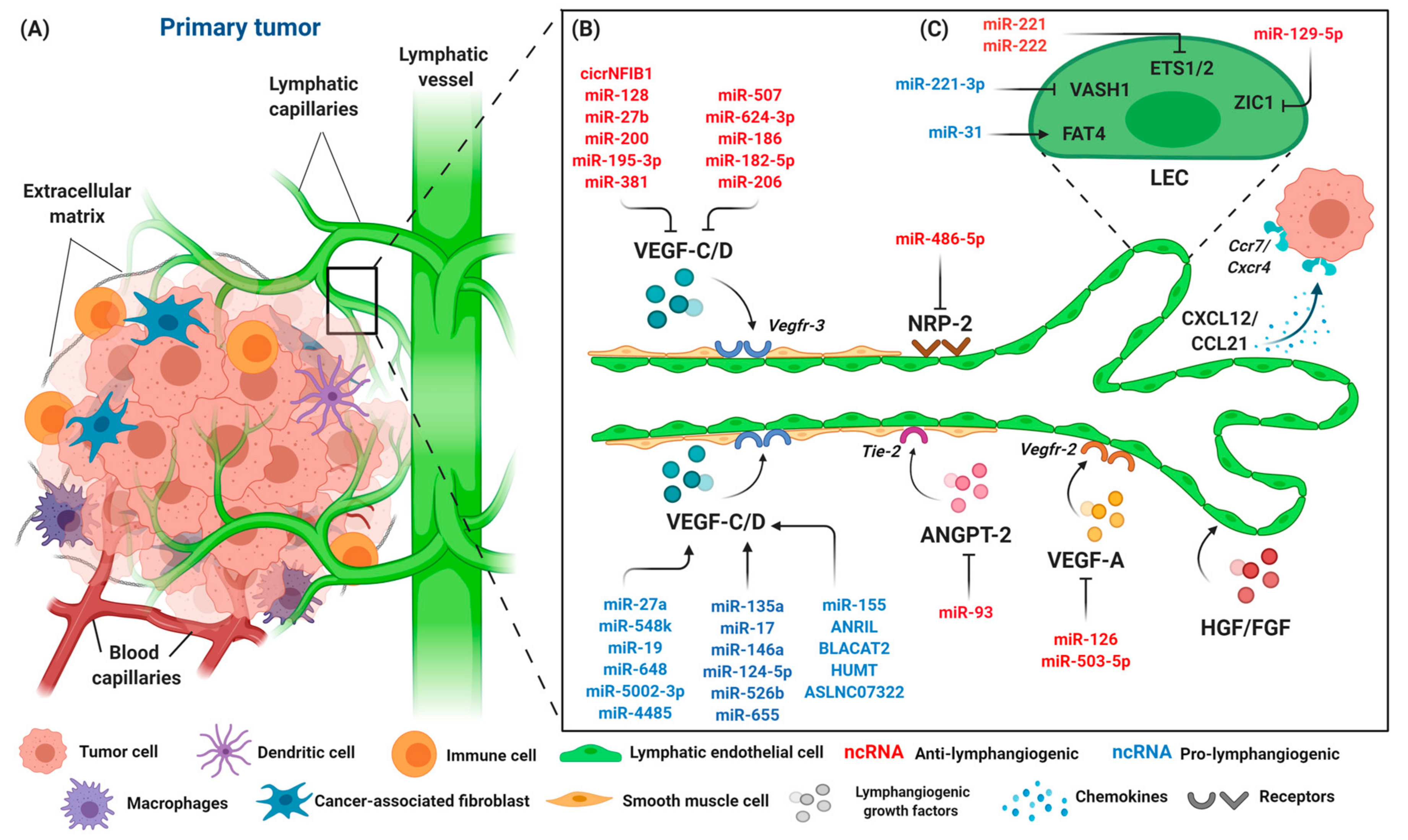 Cancers 12 03290 g003