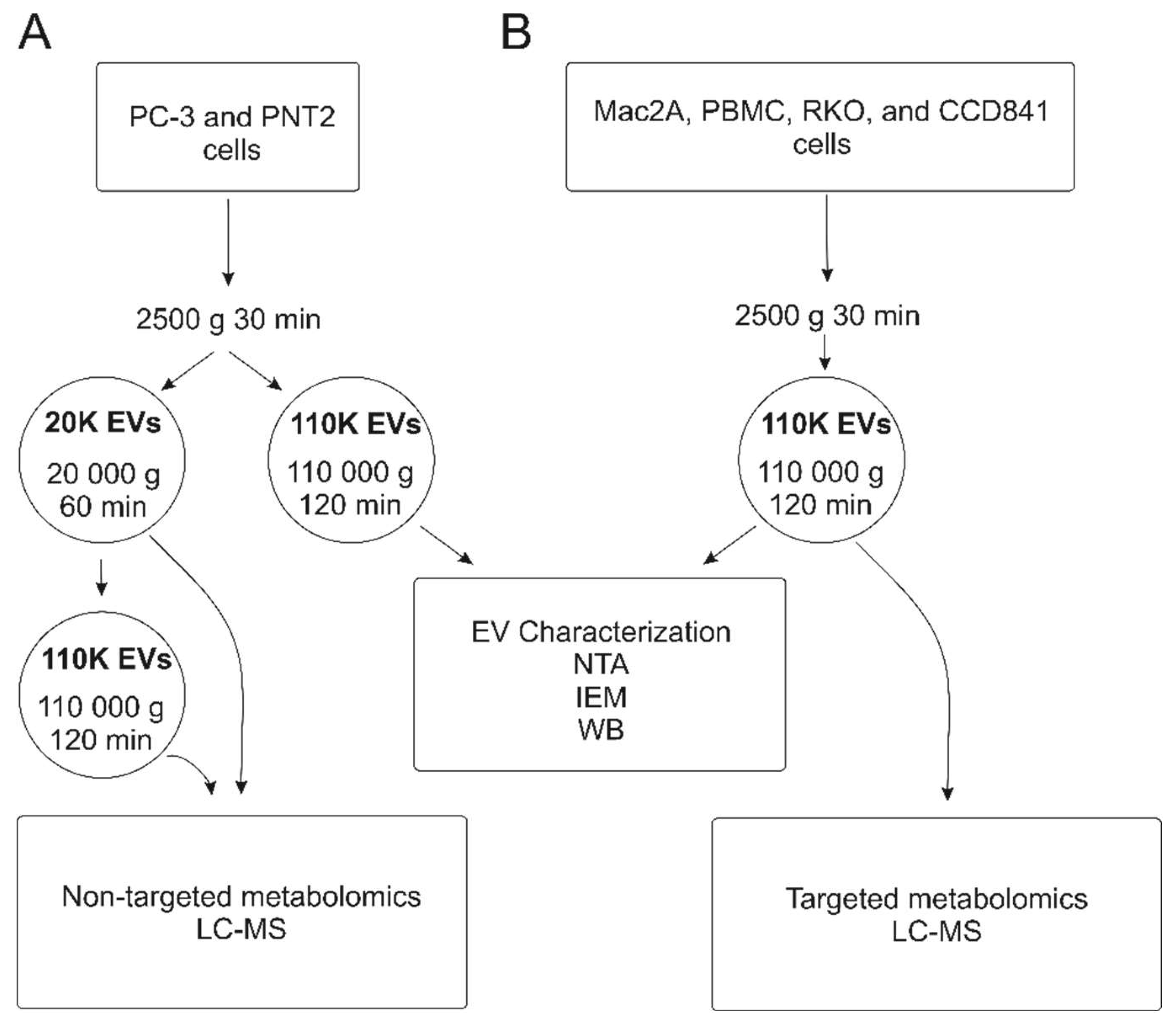 Cancers 12 03292 g001