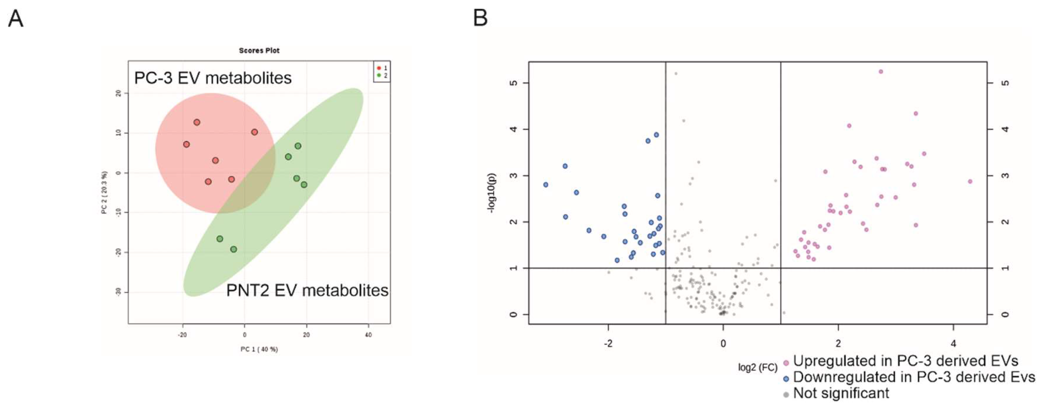 Cancers 12 03292 g003