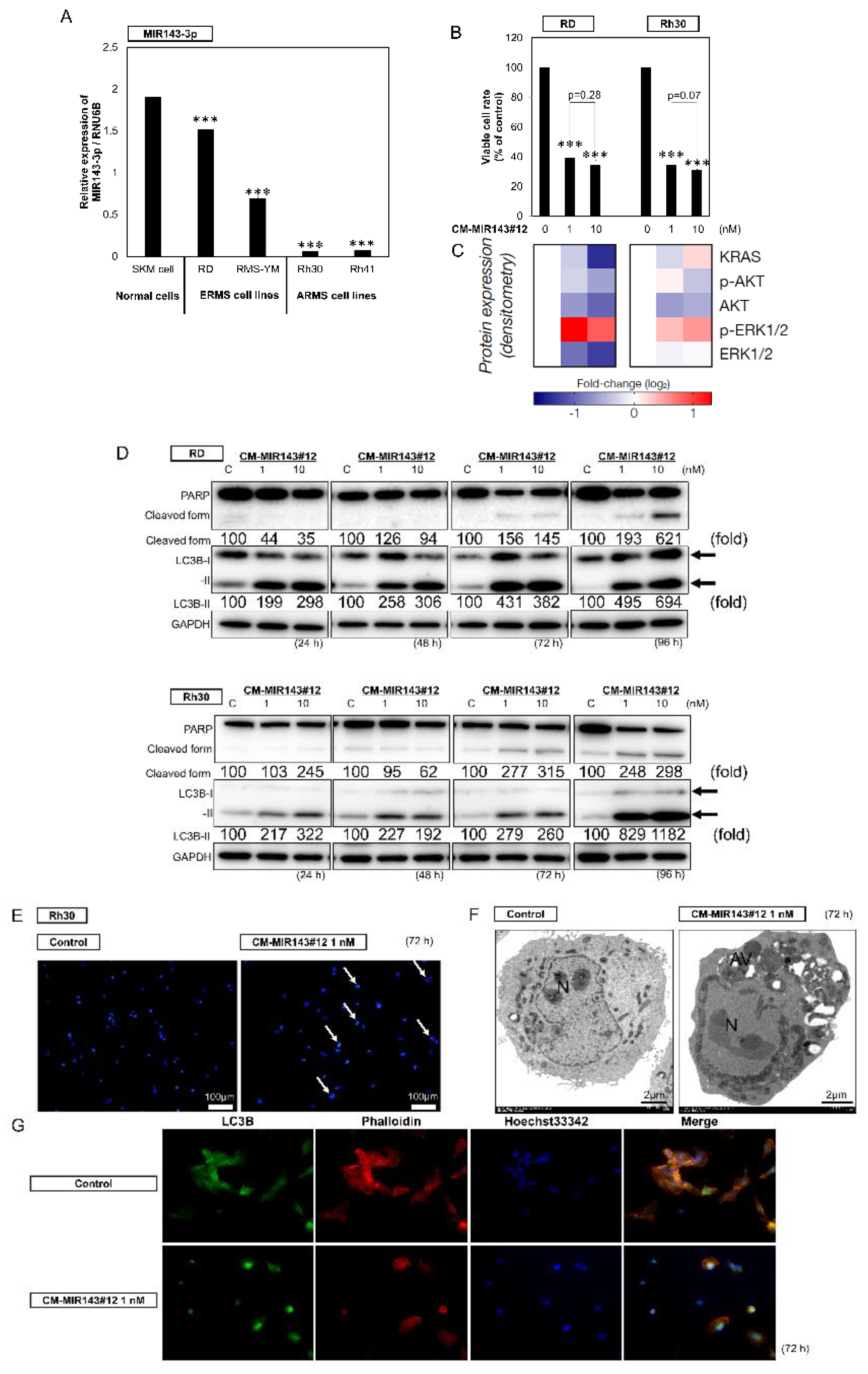 Cancers 12 03312 g001