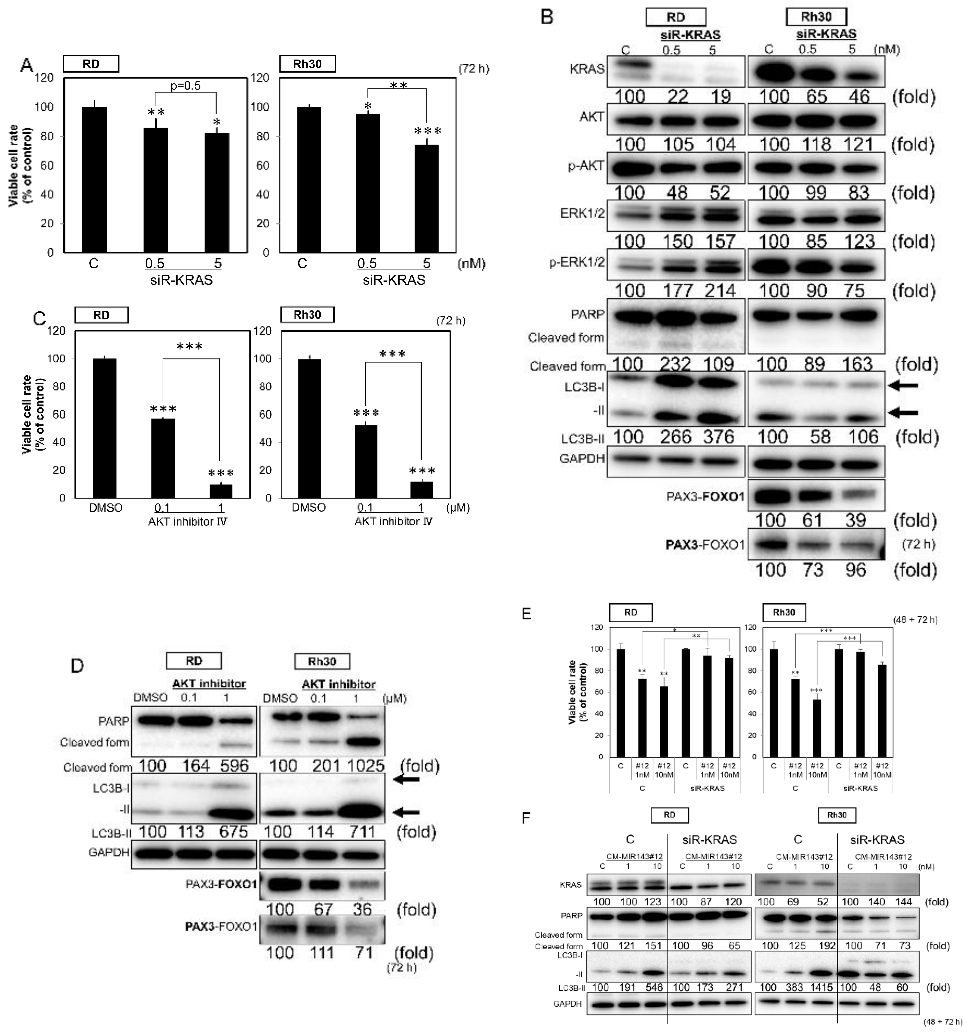 Cancers 12 03312 g002