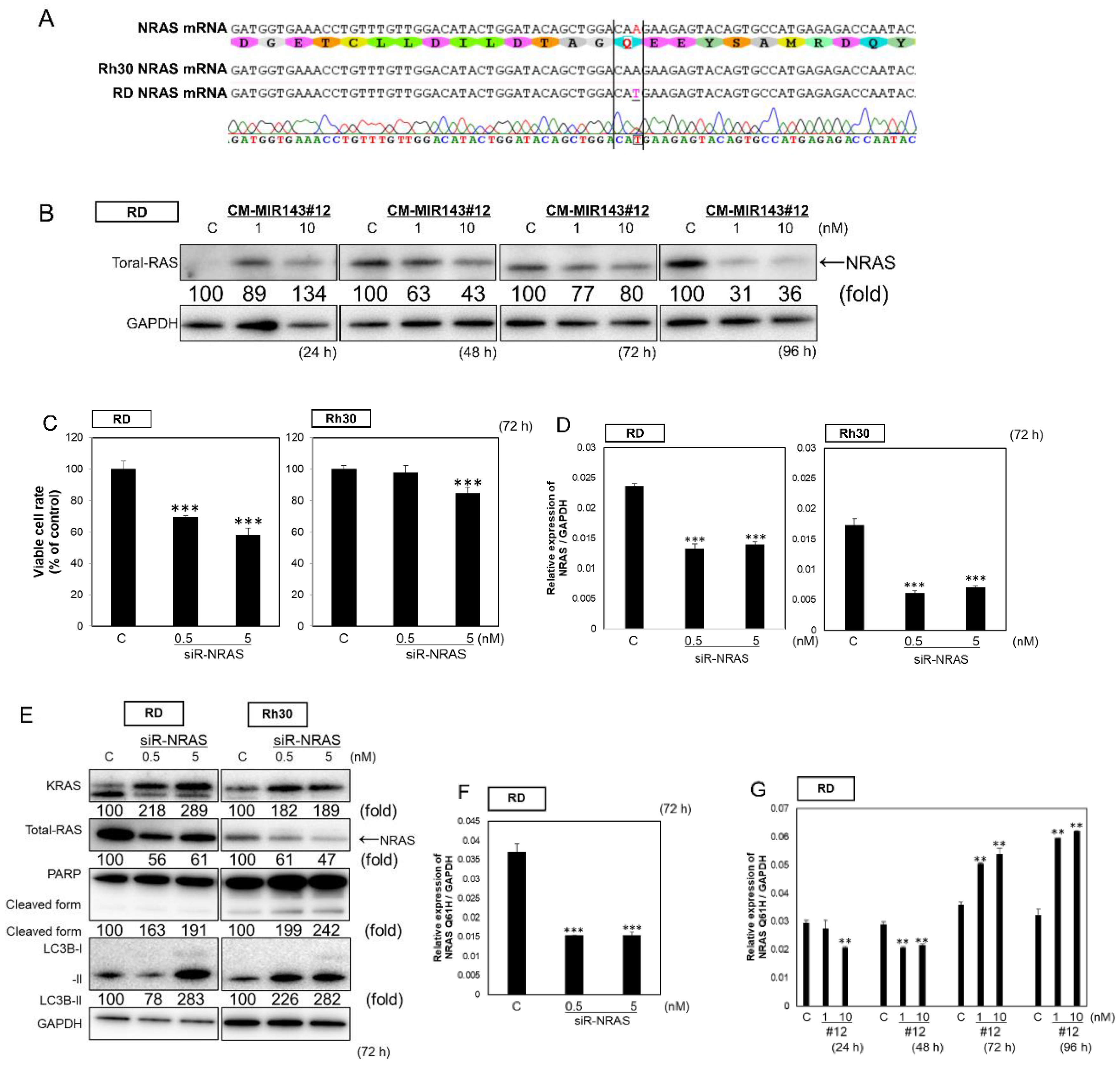 Cancers 12 03312 g003
