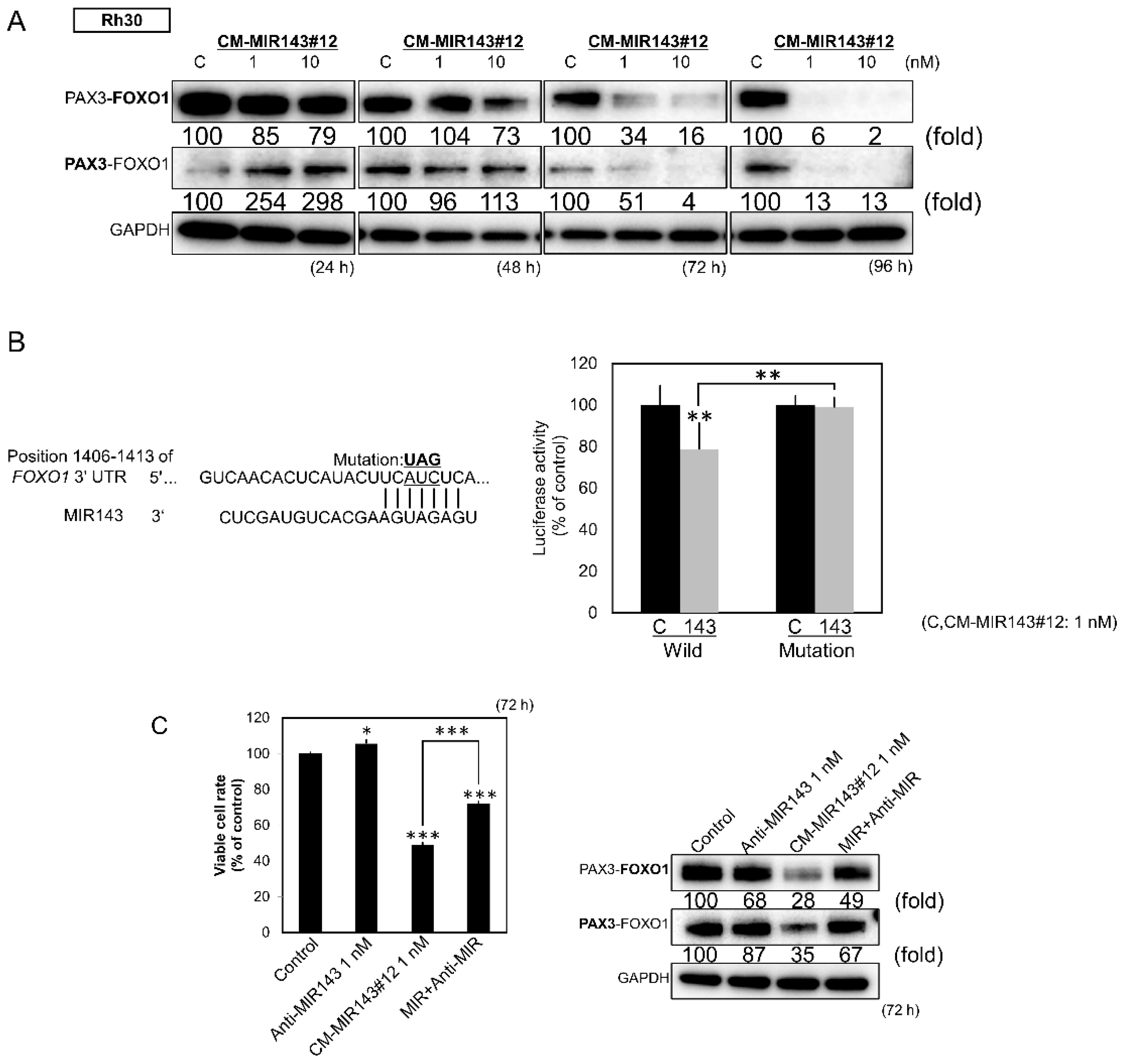Cancers 12 03312 g004