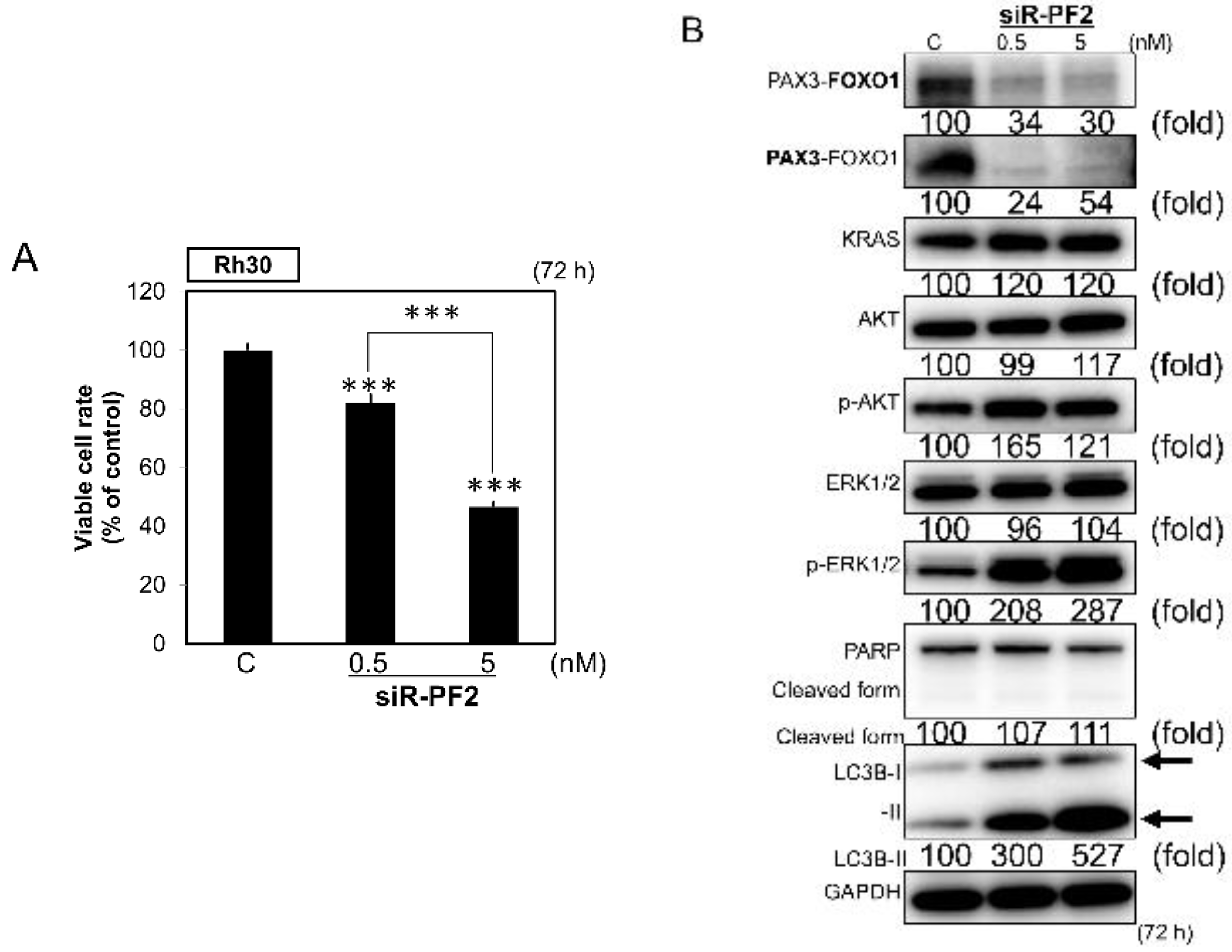 Cancers 12 03312 g005