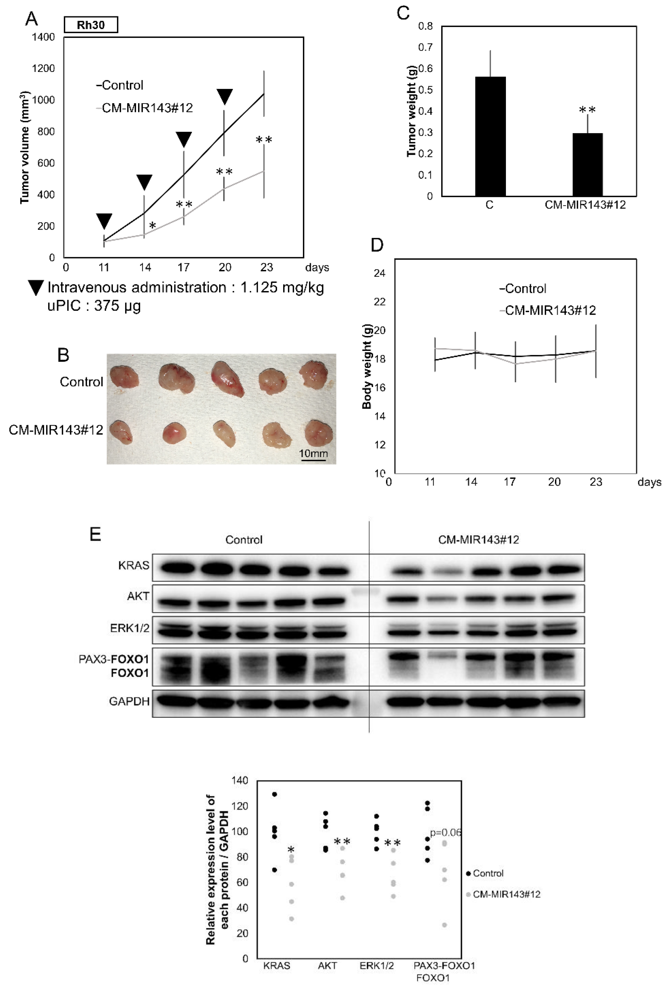 Cancers 12 03312 g006