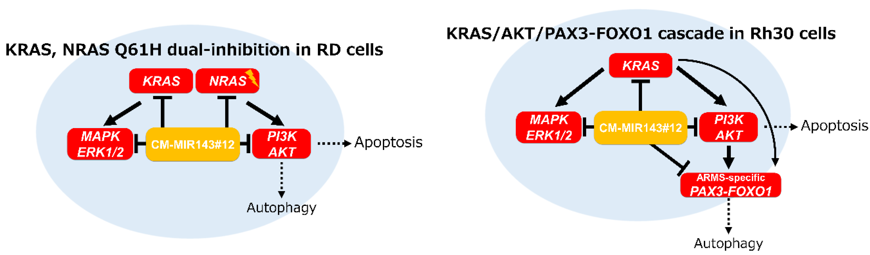 Cancers 12 03312 g007
