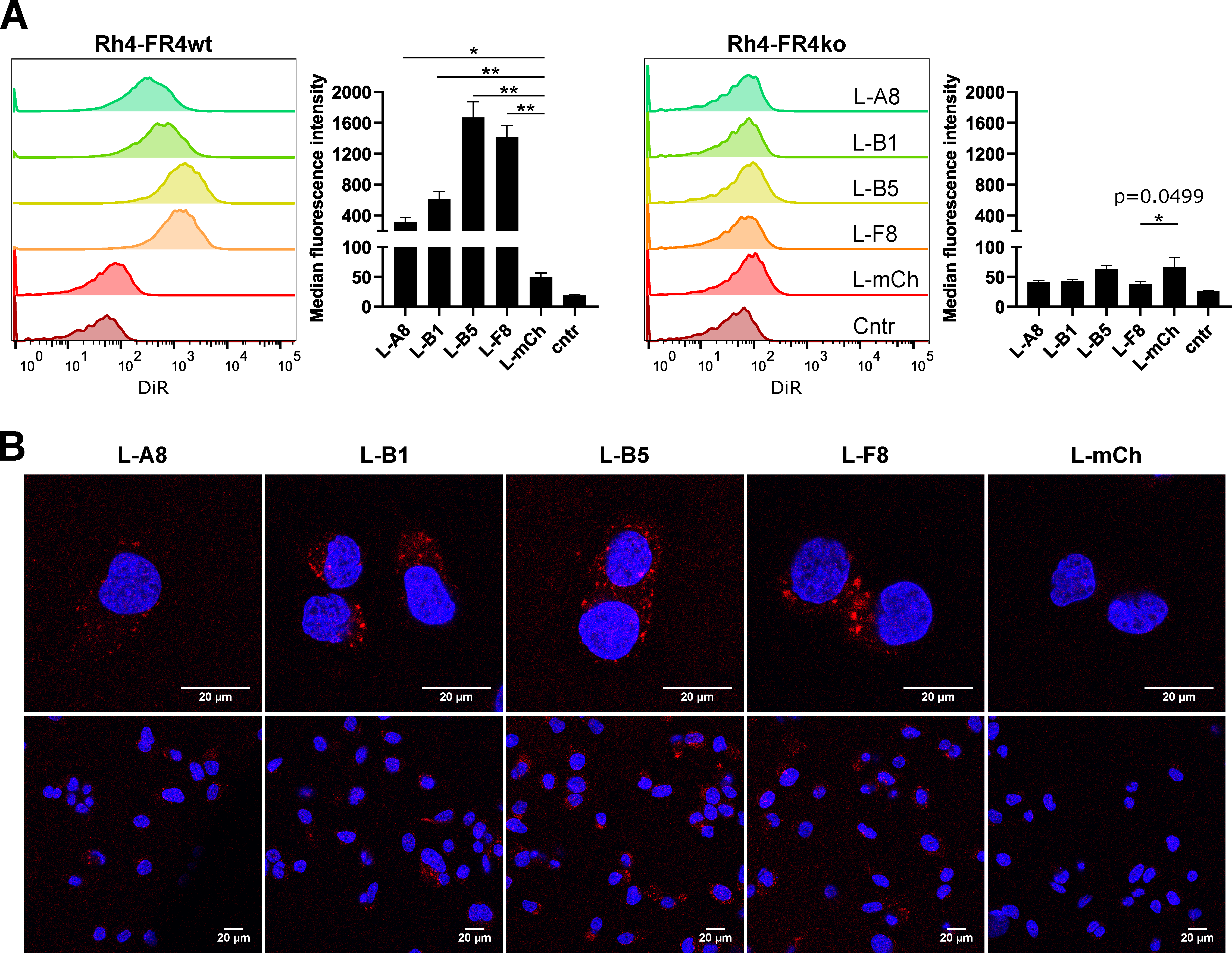 Cancers 12 03313 g005