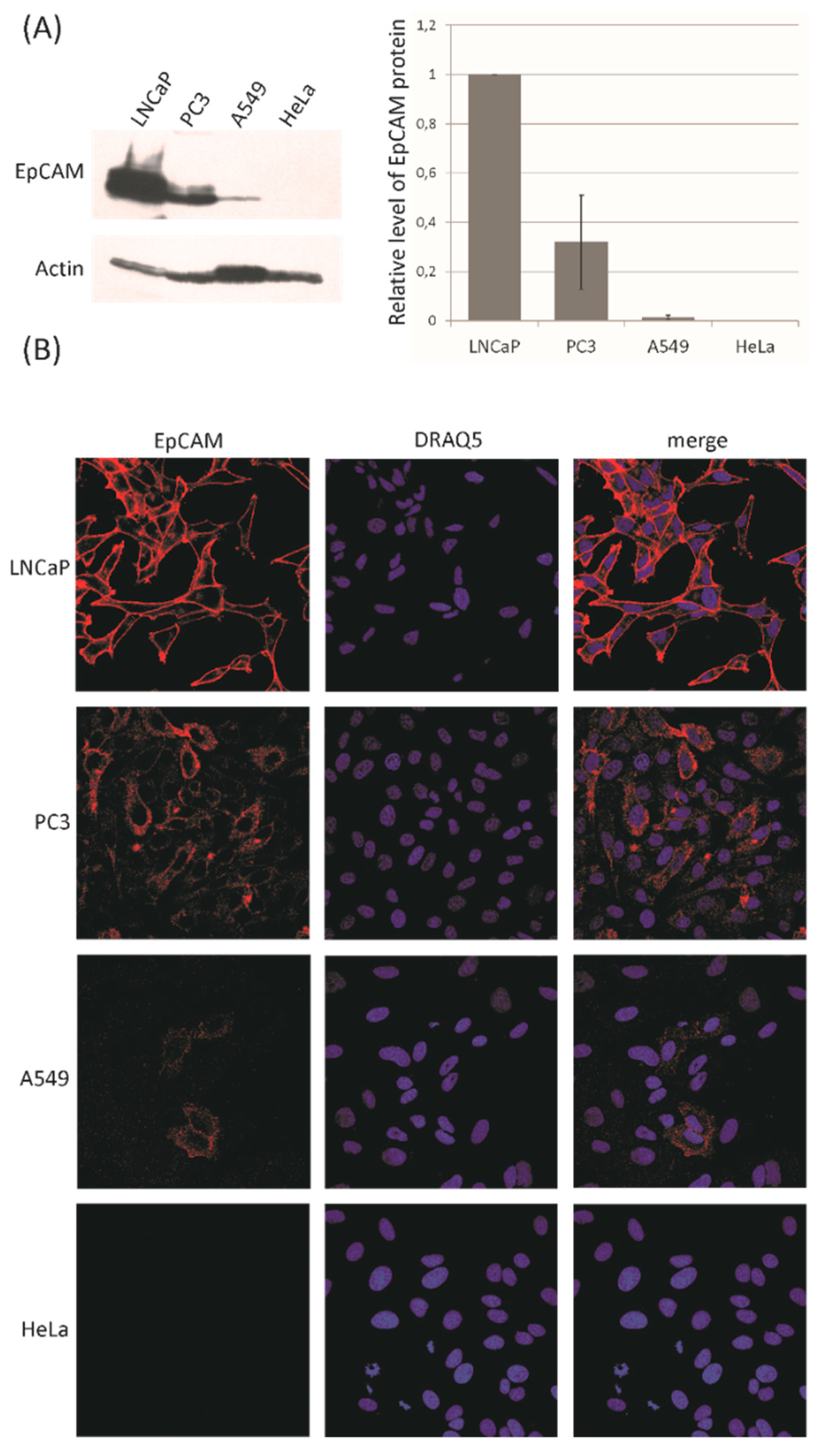 Cancers 12 03315 g001