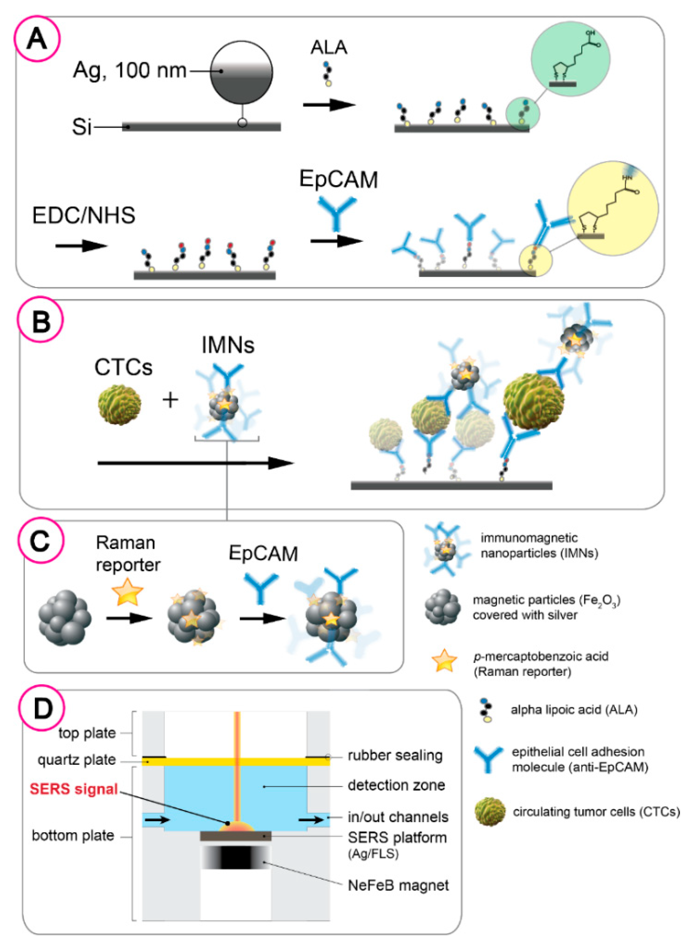 Cancers 12 03315 g002