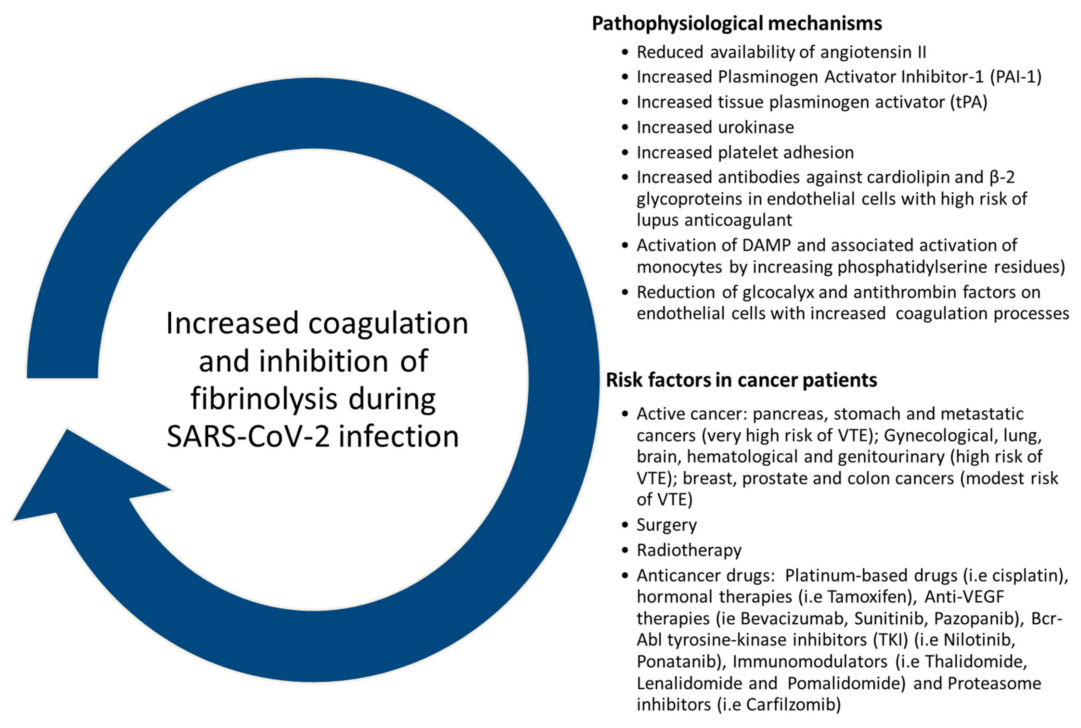 Cancers 12 03316 g004 Cancers 12 03316 g004