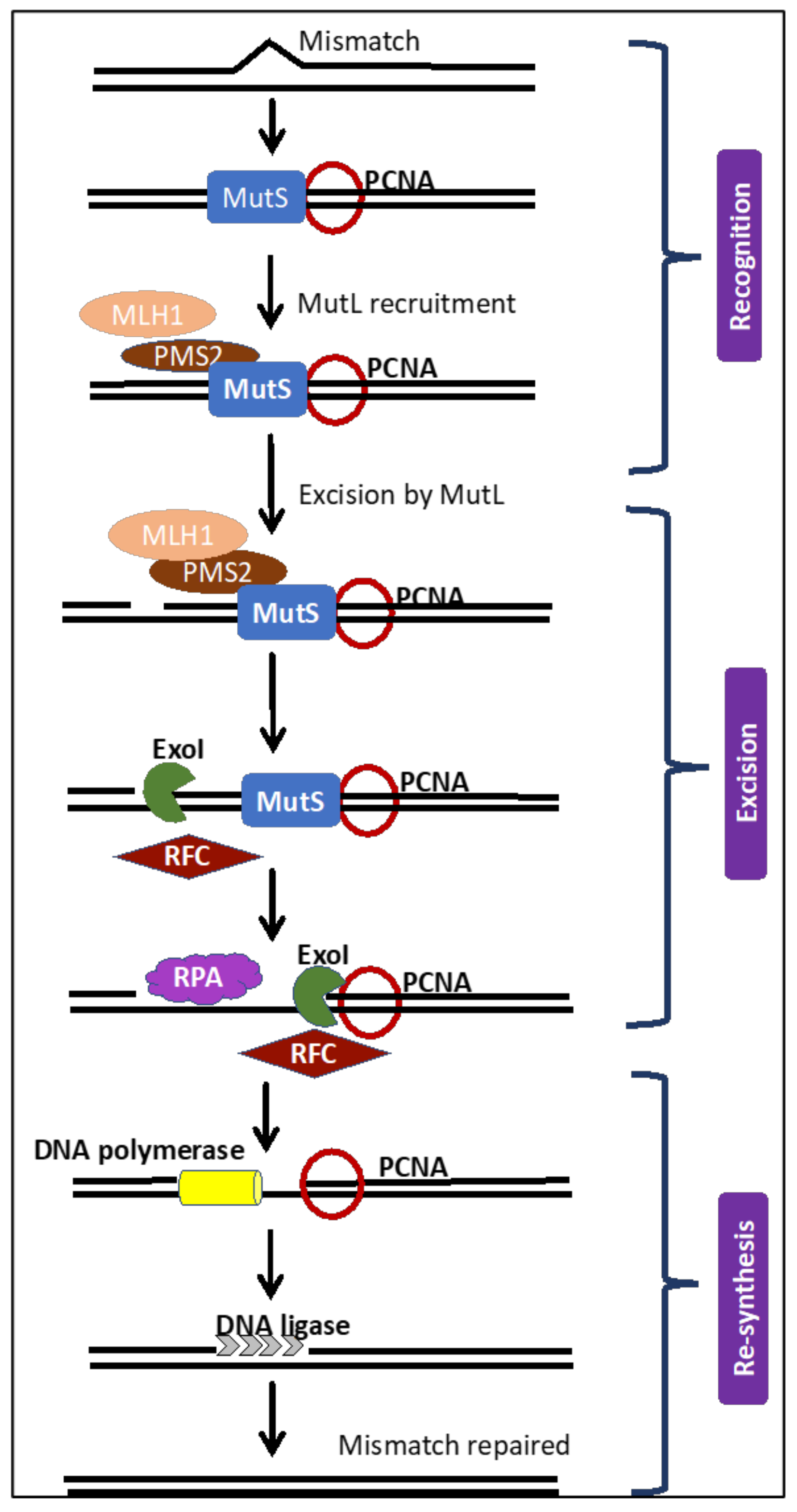 Cancers 12 03319 g001