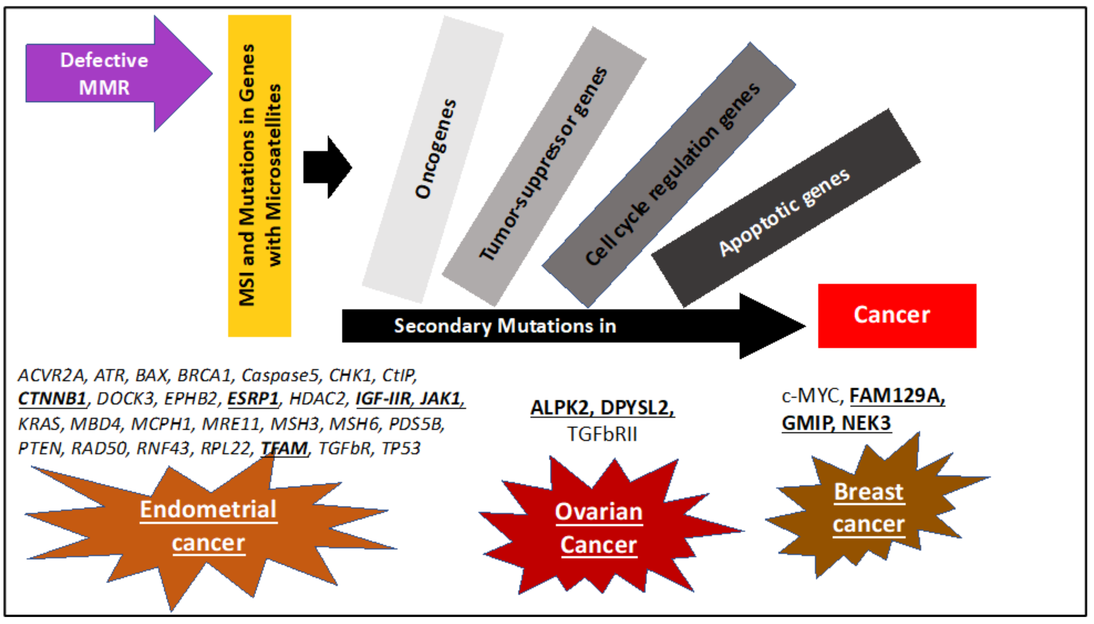 Cancers 12 03319 g002