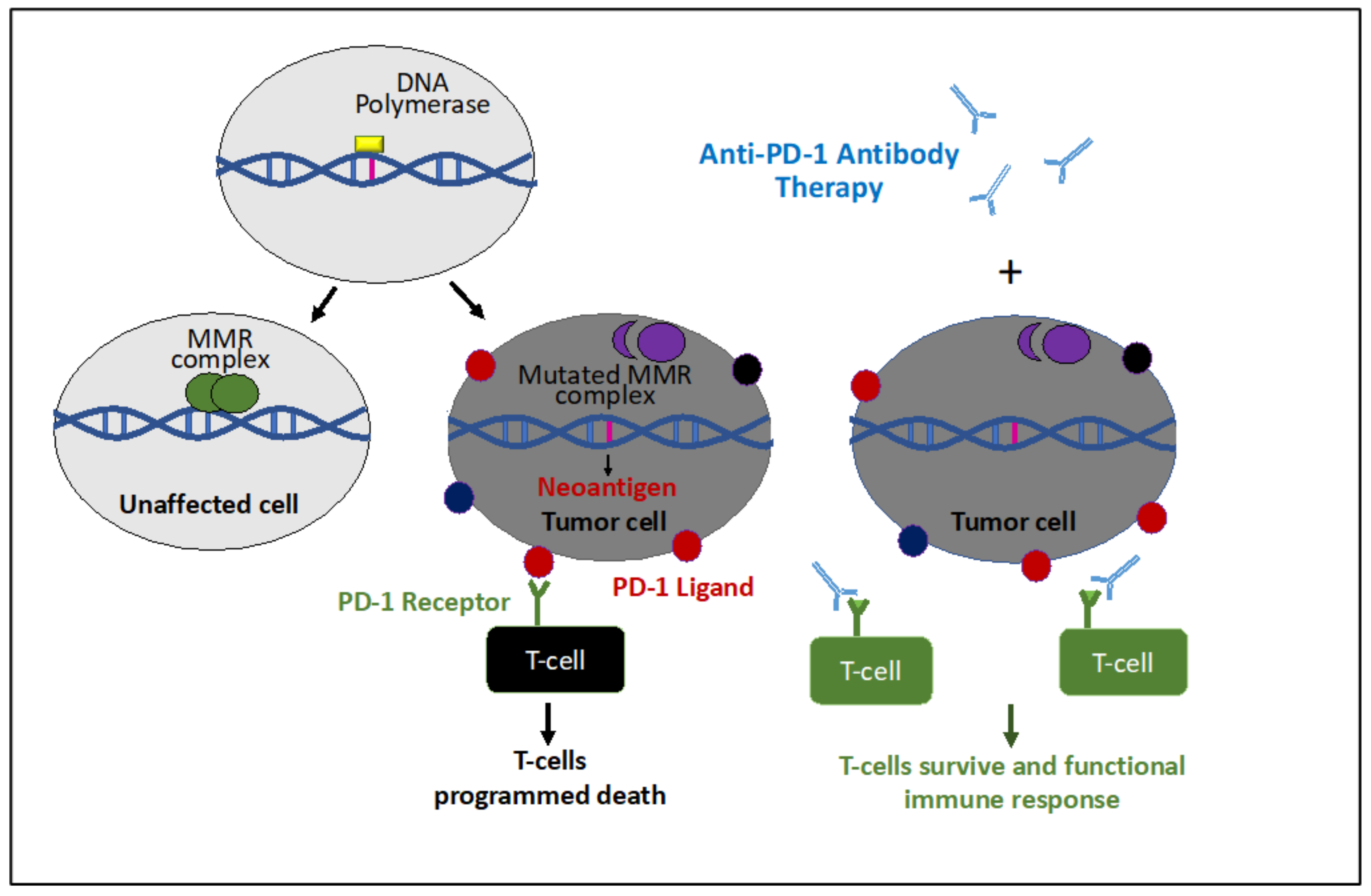 Cancers 12 03319 g003